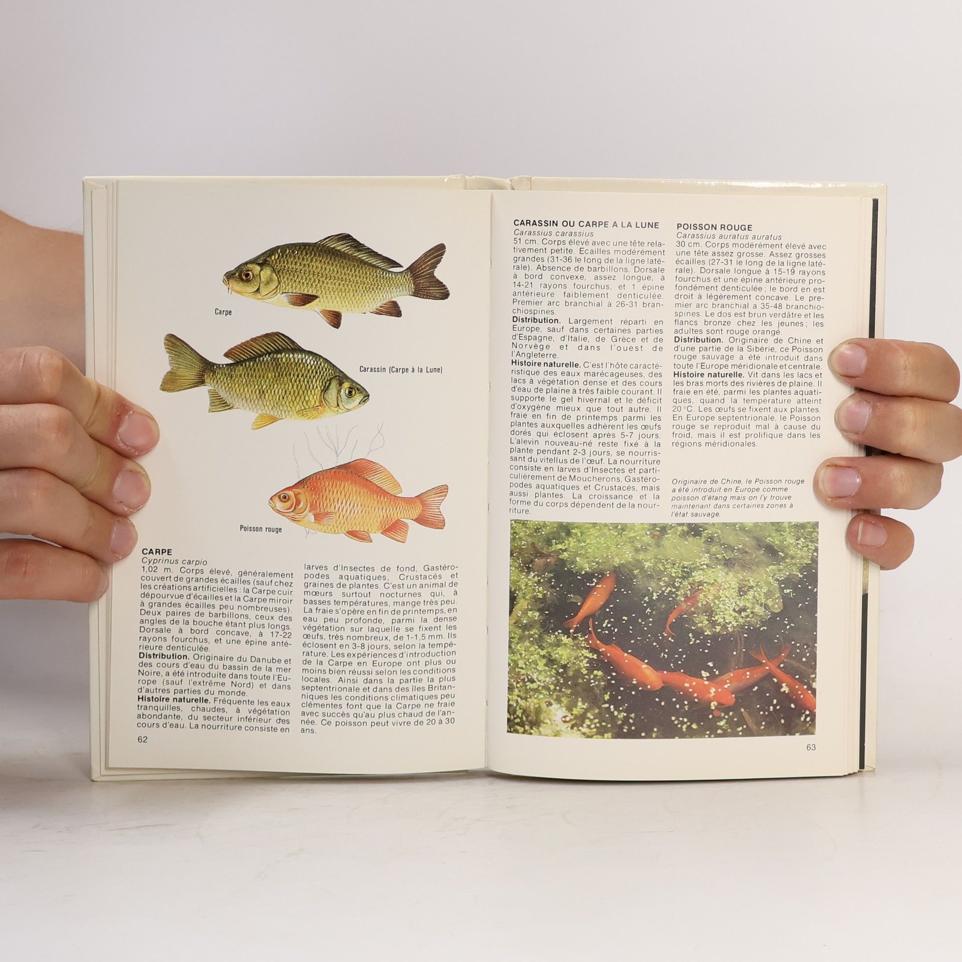 Le Monde en Couleur: Les poissons d'eau douce