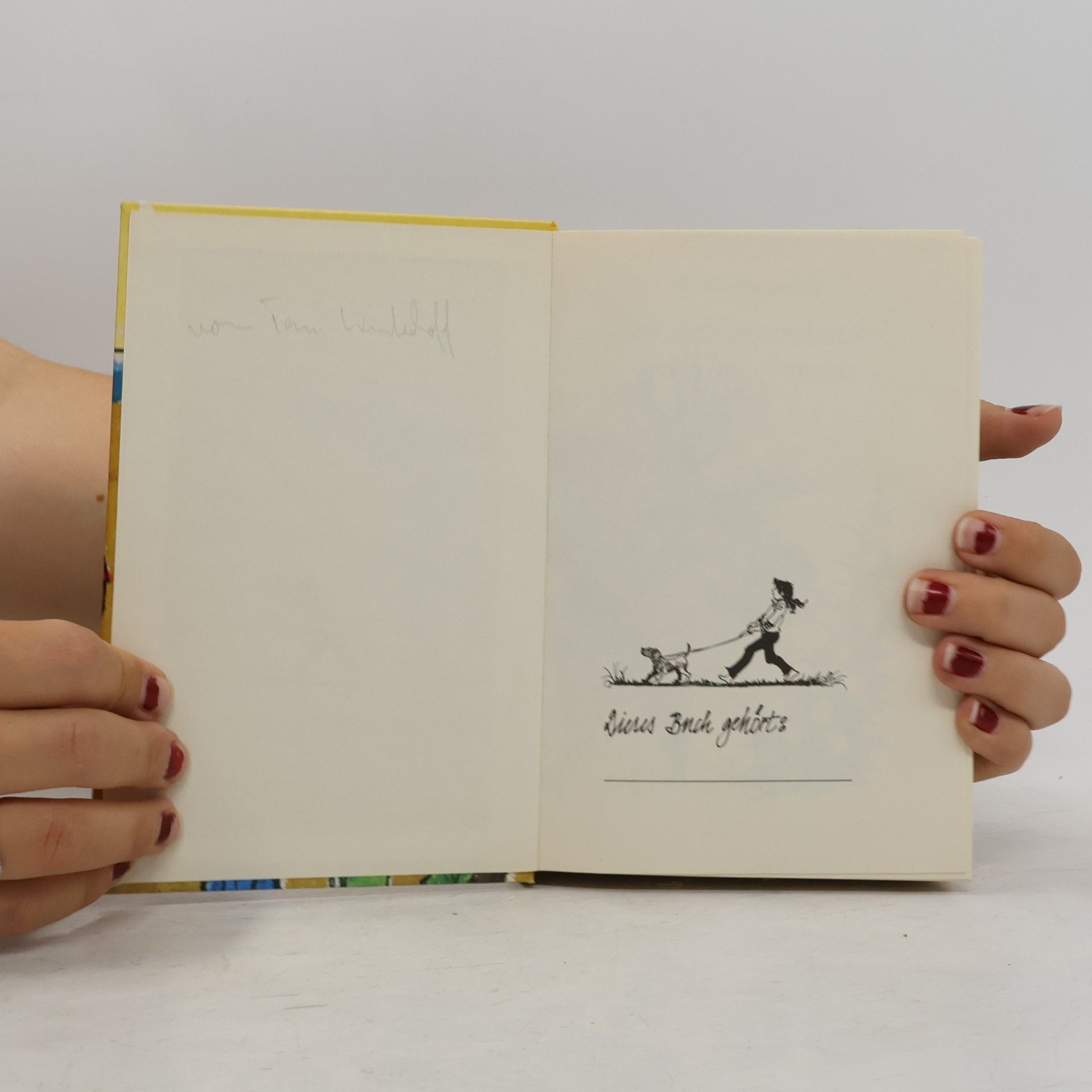 Barbara Schwindt Die Anderssonkinder und ihre Freunde