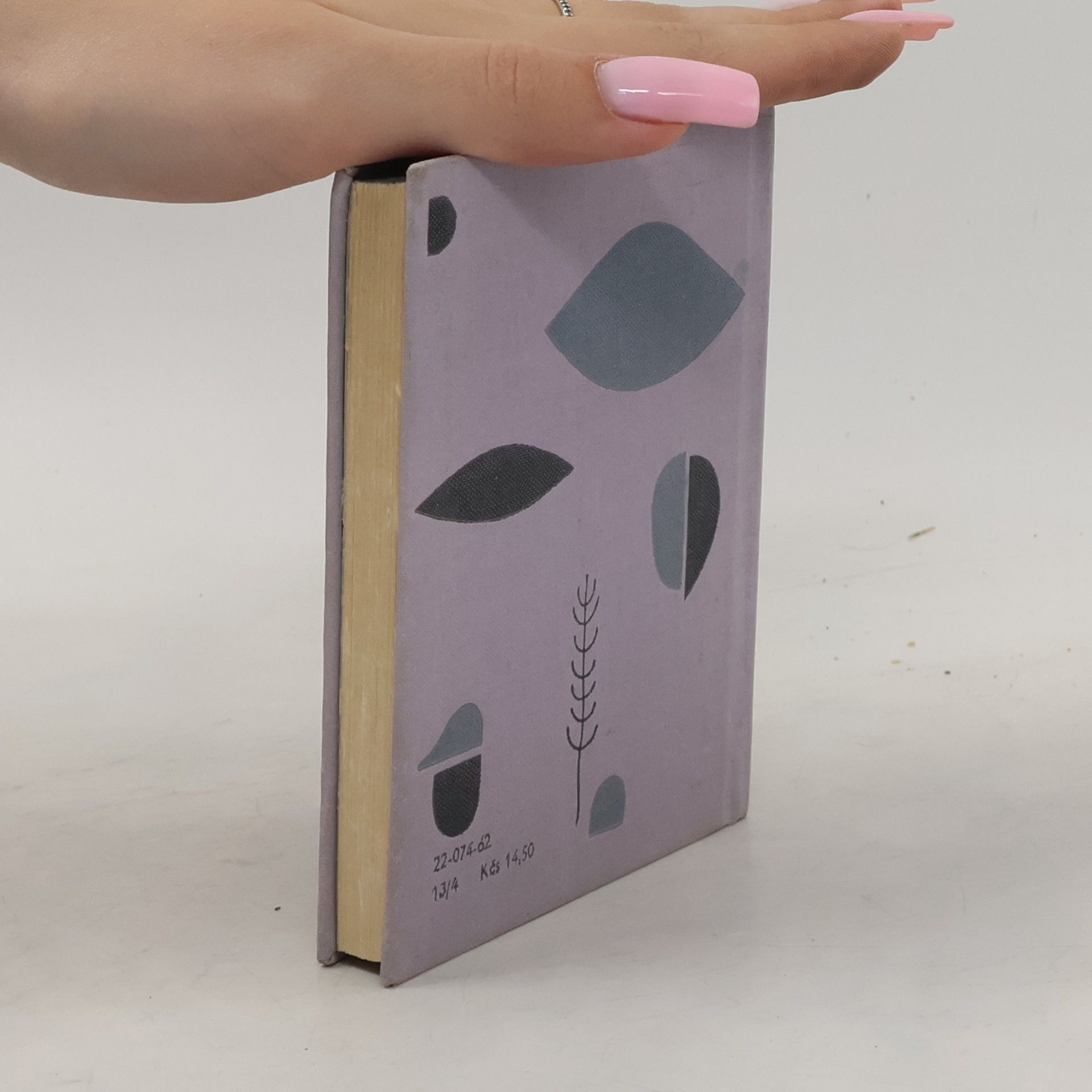 Fráňa Šrámek Splav