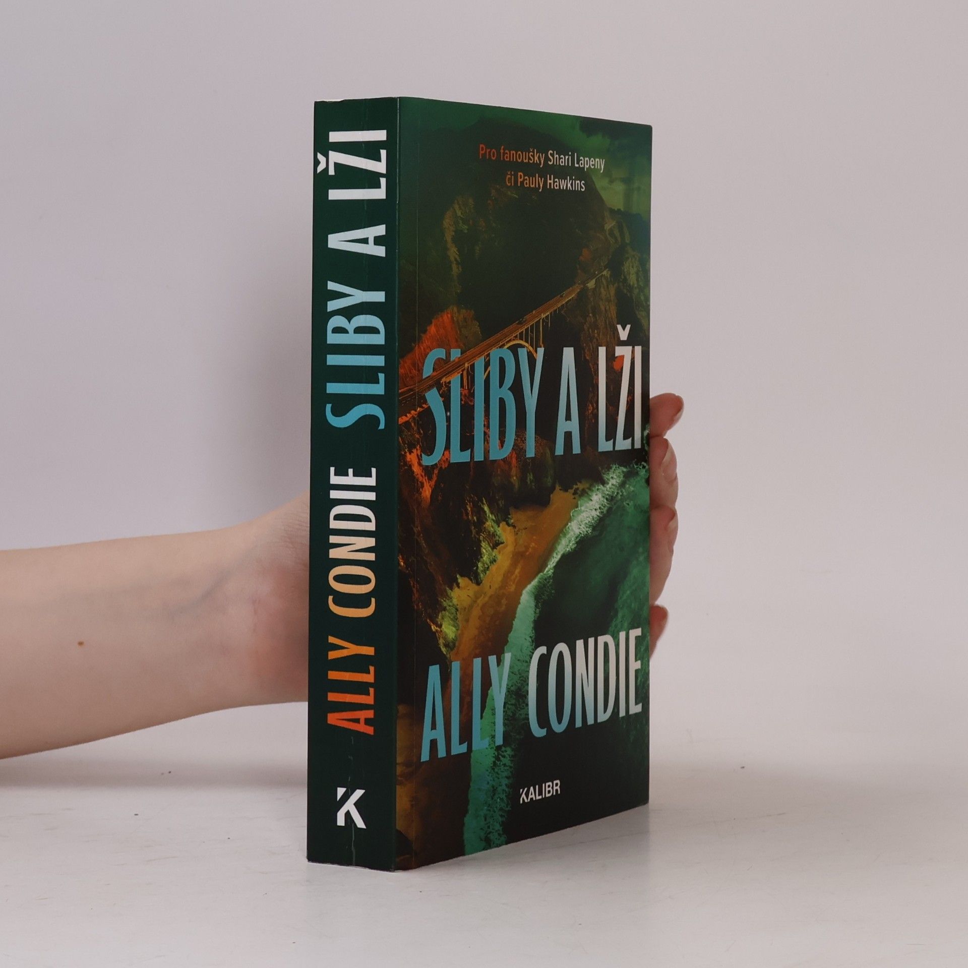 Allyson Braithwaite Condie Sliby a lži