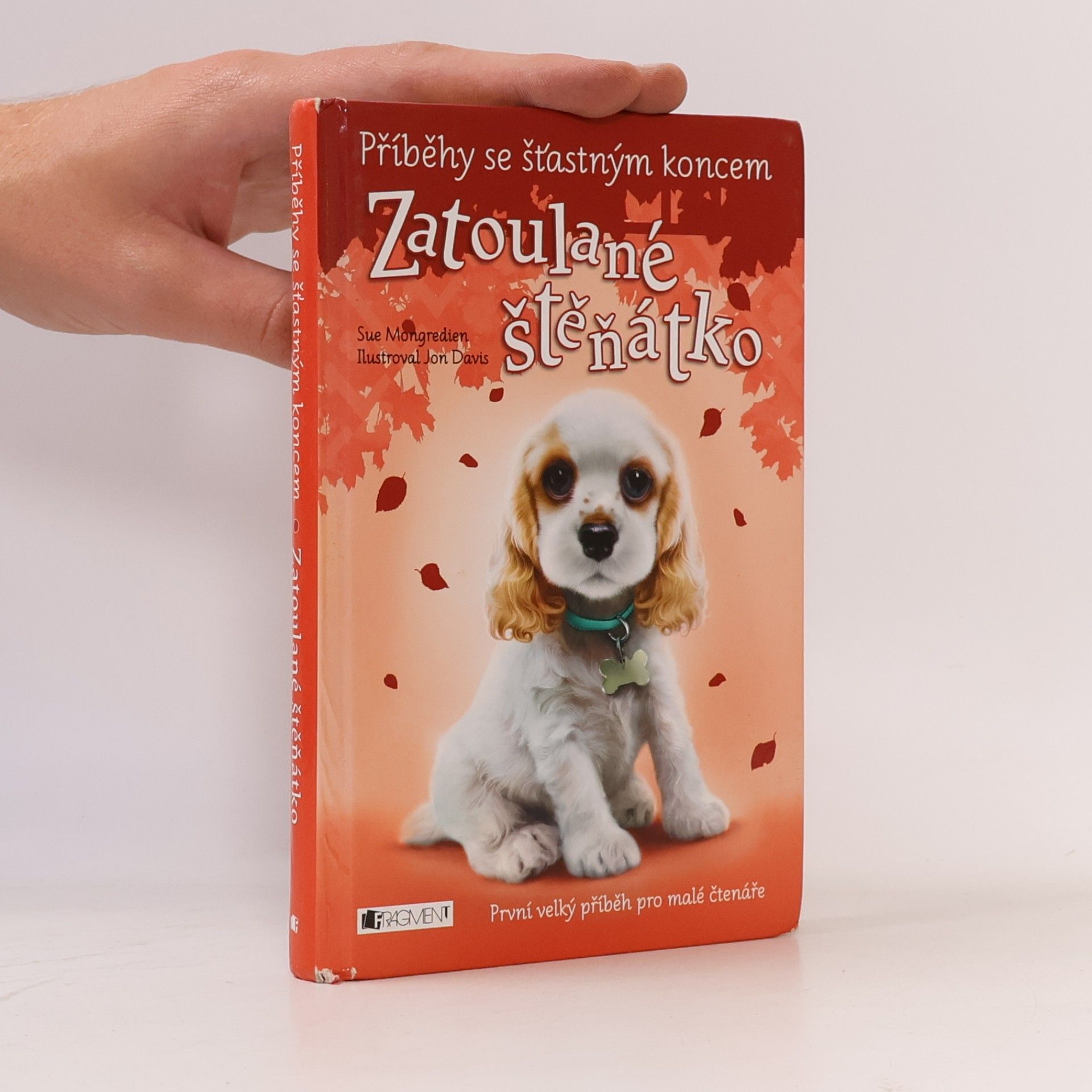 Lucy Diamond Zatoulané štěňátko