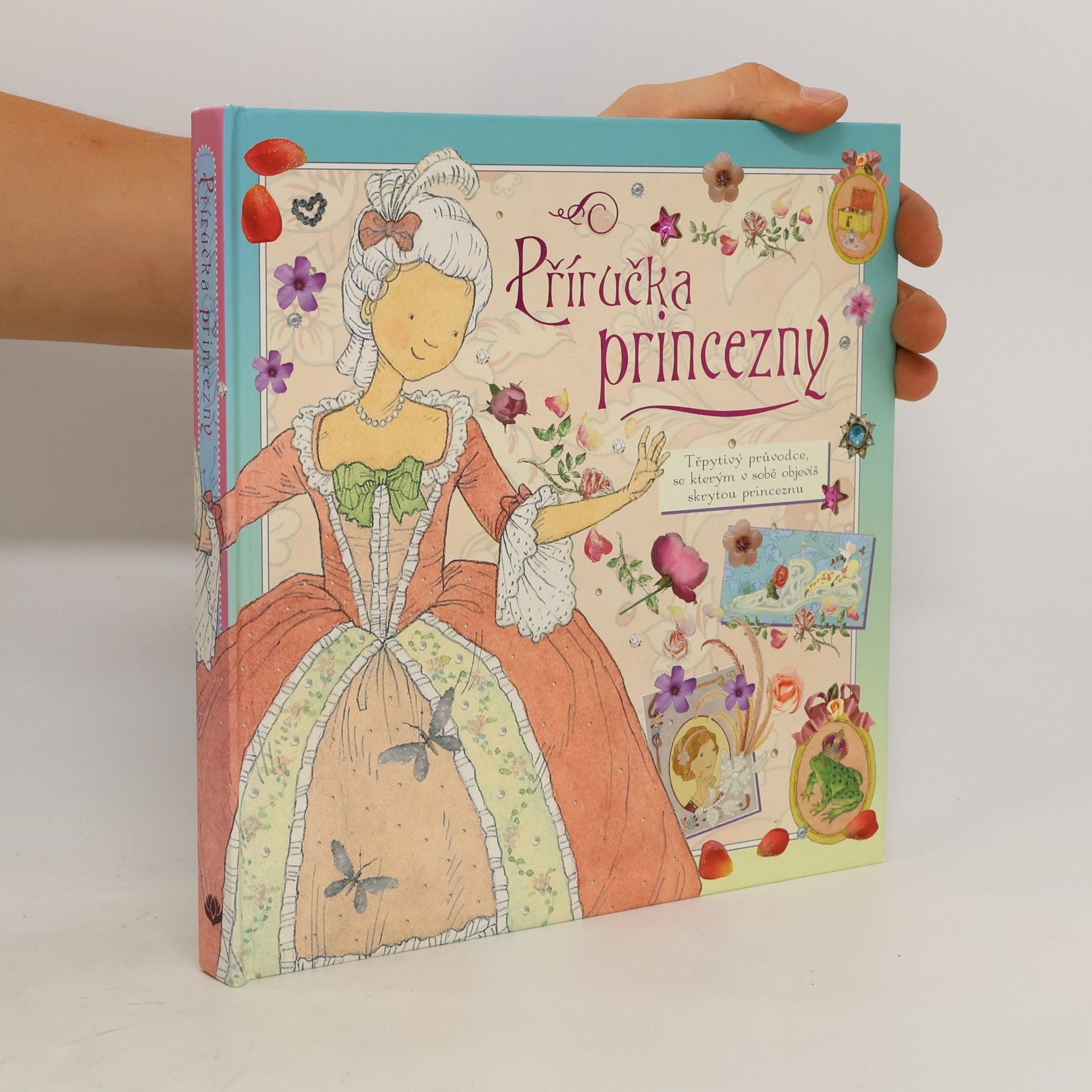 Autorenkollektiv Příručka princezny