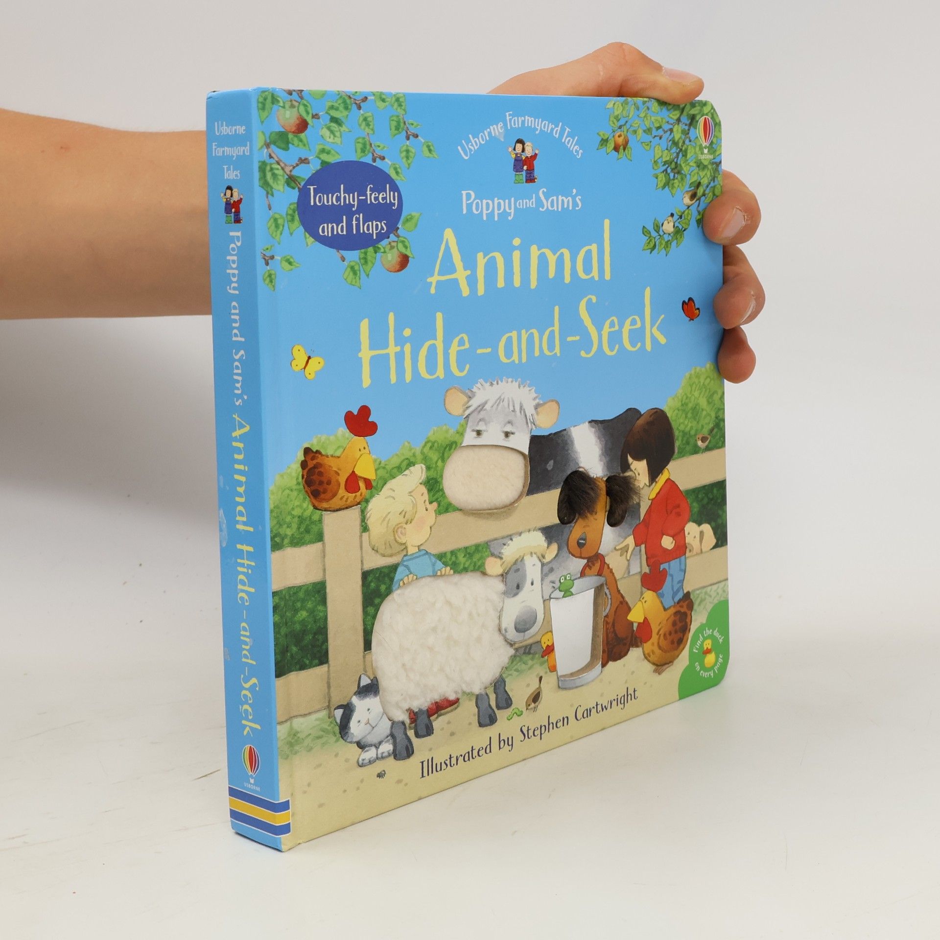 Jenny Tyler Animal Hide-and-Seek