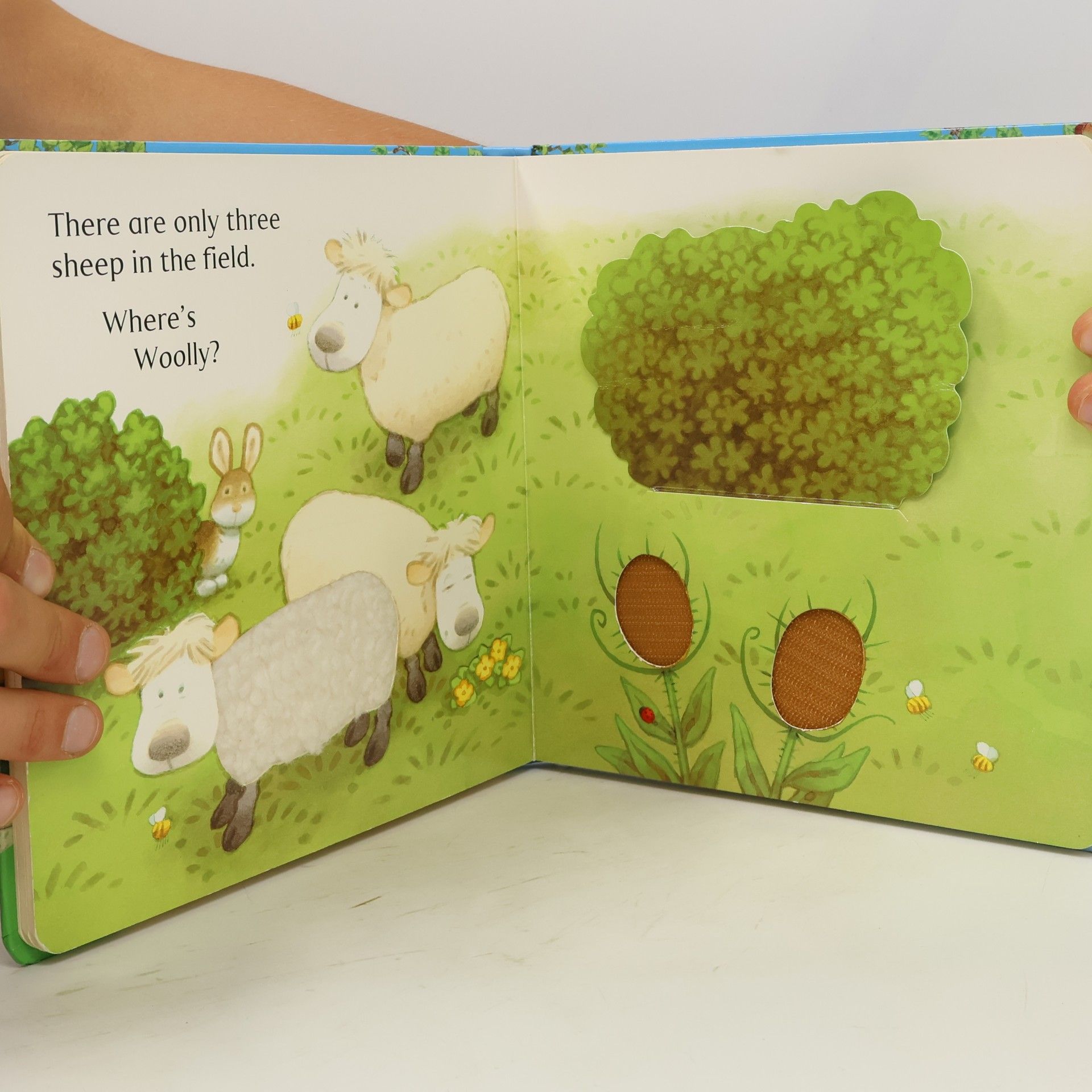Jenny Tyler Animal Hide-and-Seek