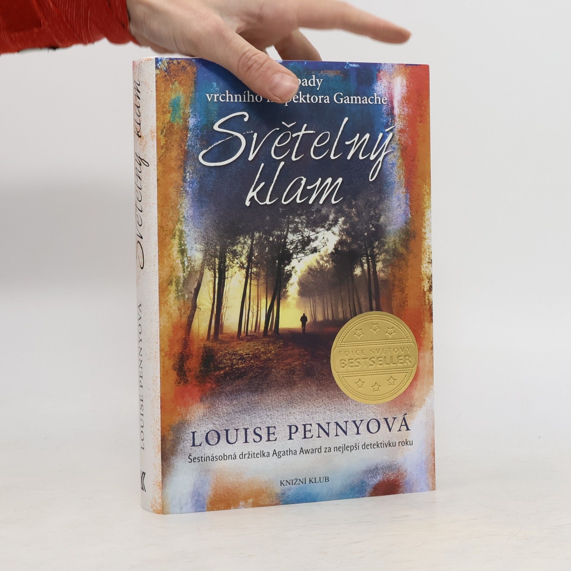 Louise Penny Světelný klam