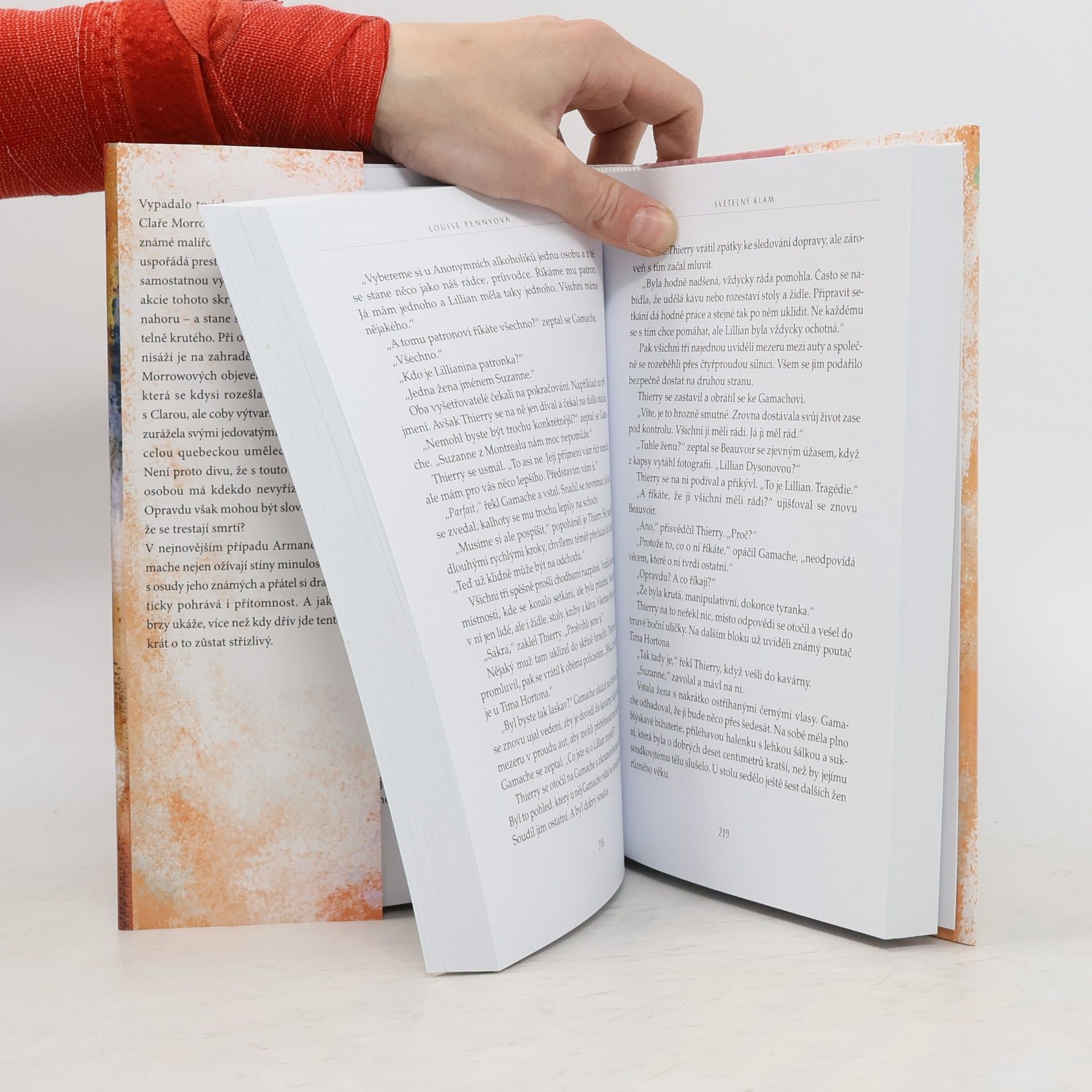 Louise Penny Světelný klam