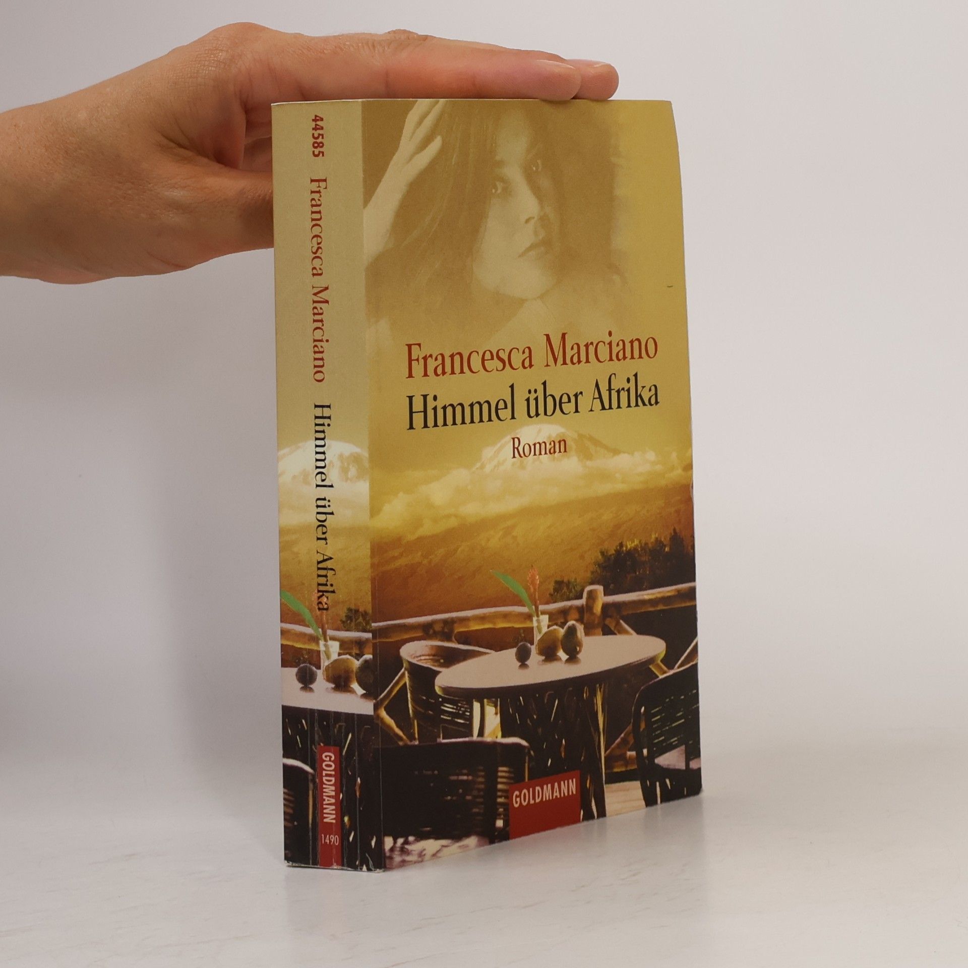 Francesca Marciano Himmel über Afrika