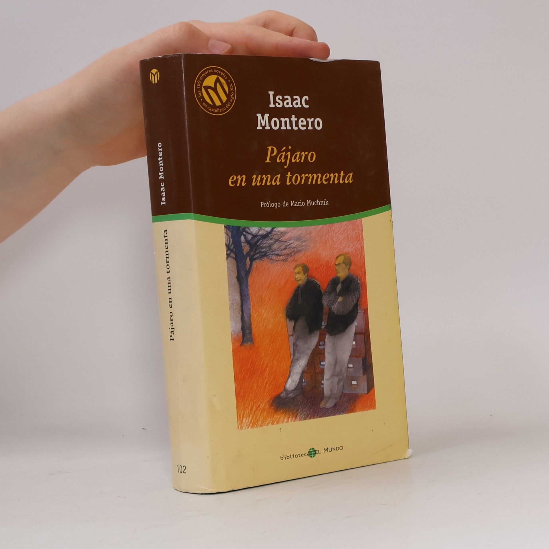 Isaac Montero Pájaro en una tormenta