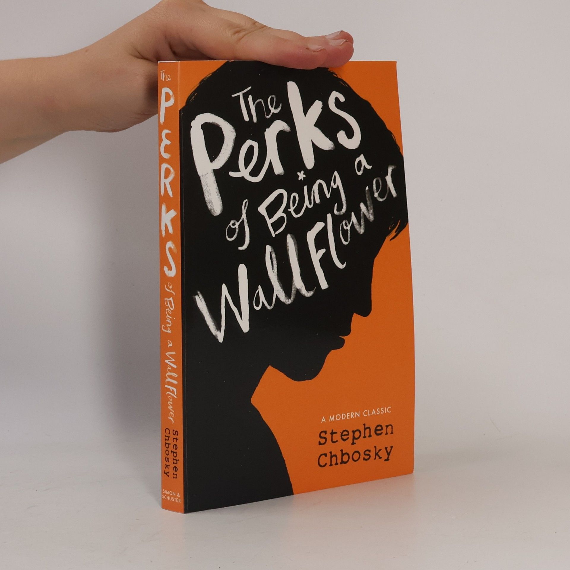 Stephen Chbosky The Perks of Being a Wallflower