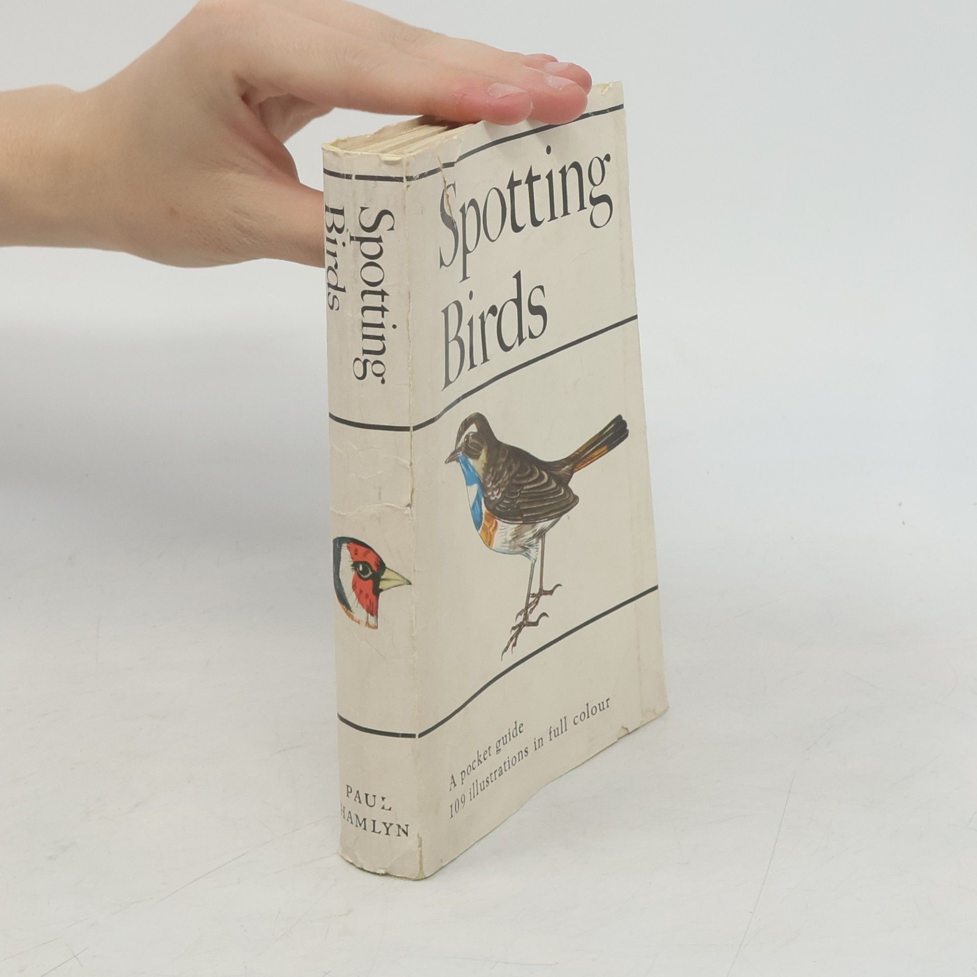Jaroslav Spirhanzl Duriš Spotting Birds