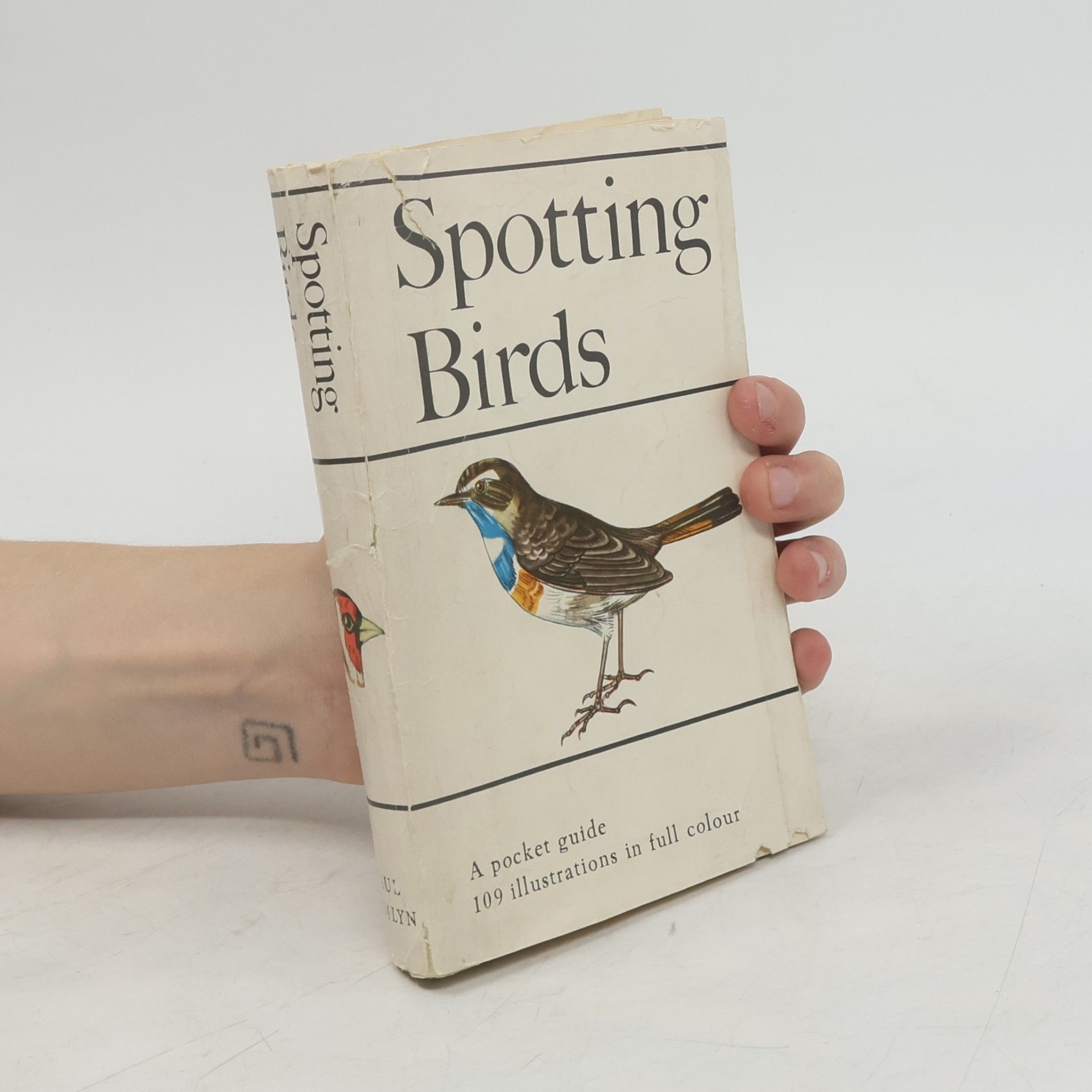 Jaroslav Spirhanzl Duriš Spotting Birds