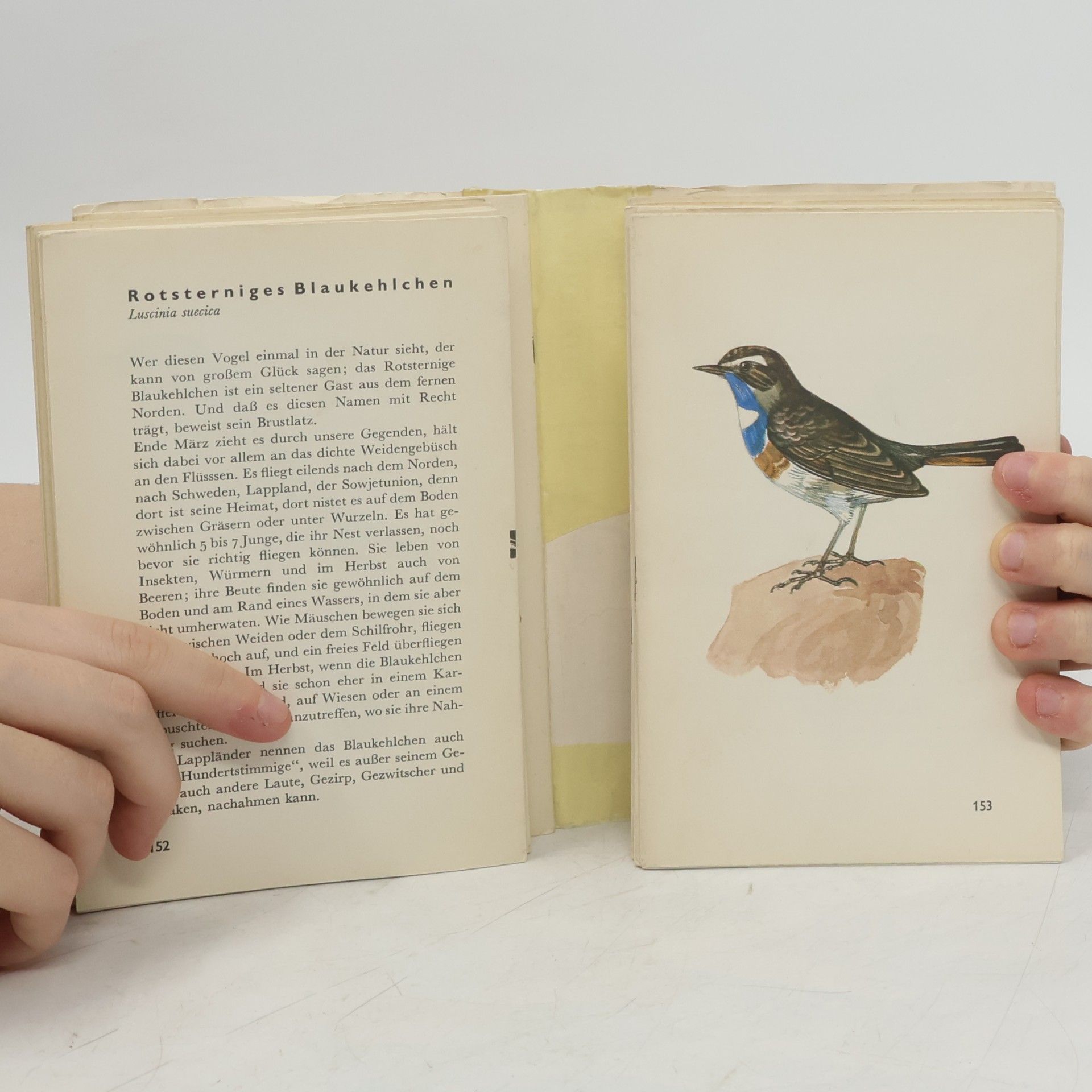 Jaroslav Spirhanzl Duriš Spotting Birds