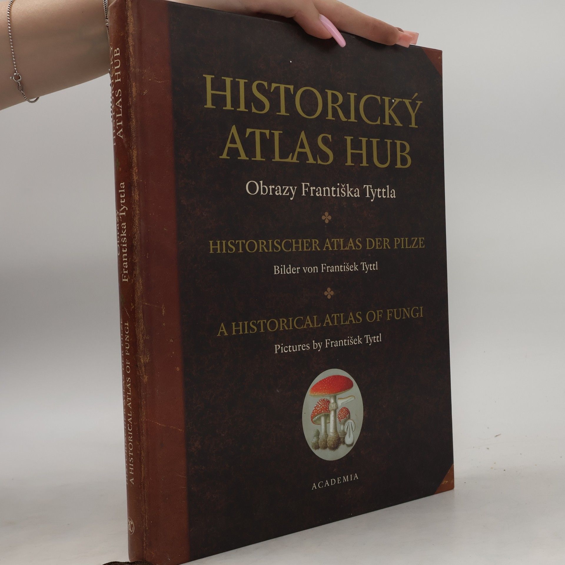 Jaroslava Nesvadbová Historický atlas hub - Obrazy Františka Tyttla