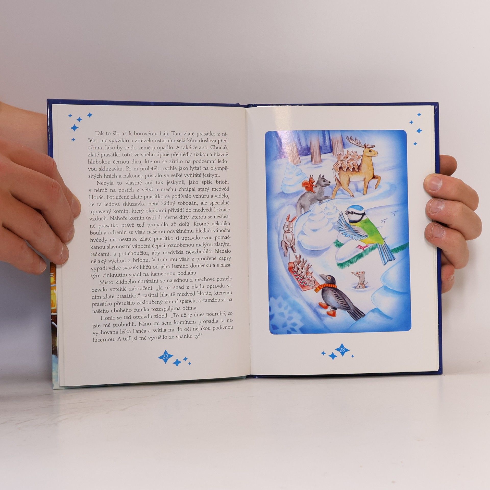 Autorenkollektiv Vánoce zlatého prasátka
