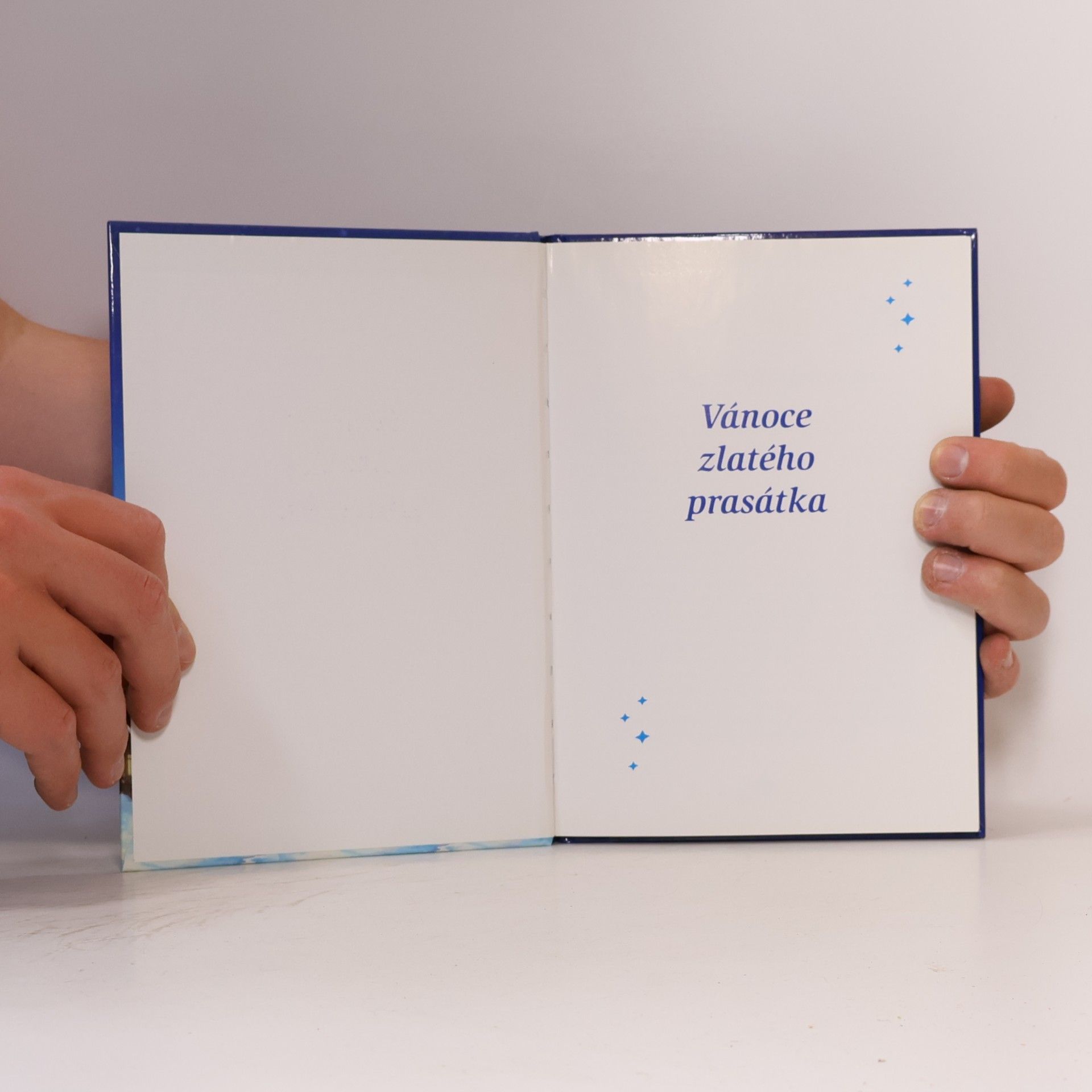 Autorenkollektiv Vánoce zlatého prasátka