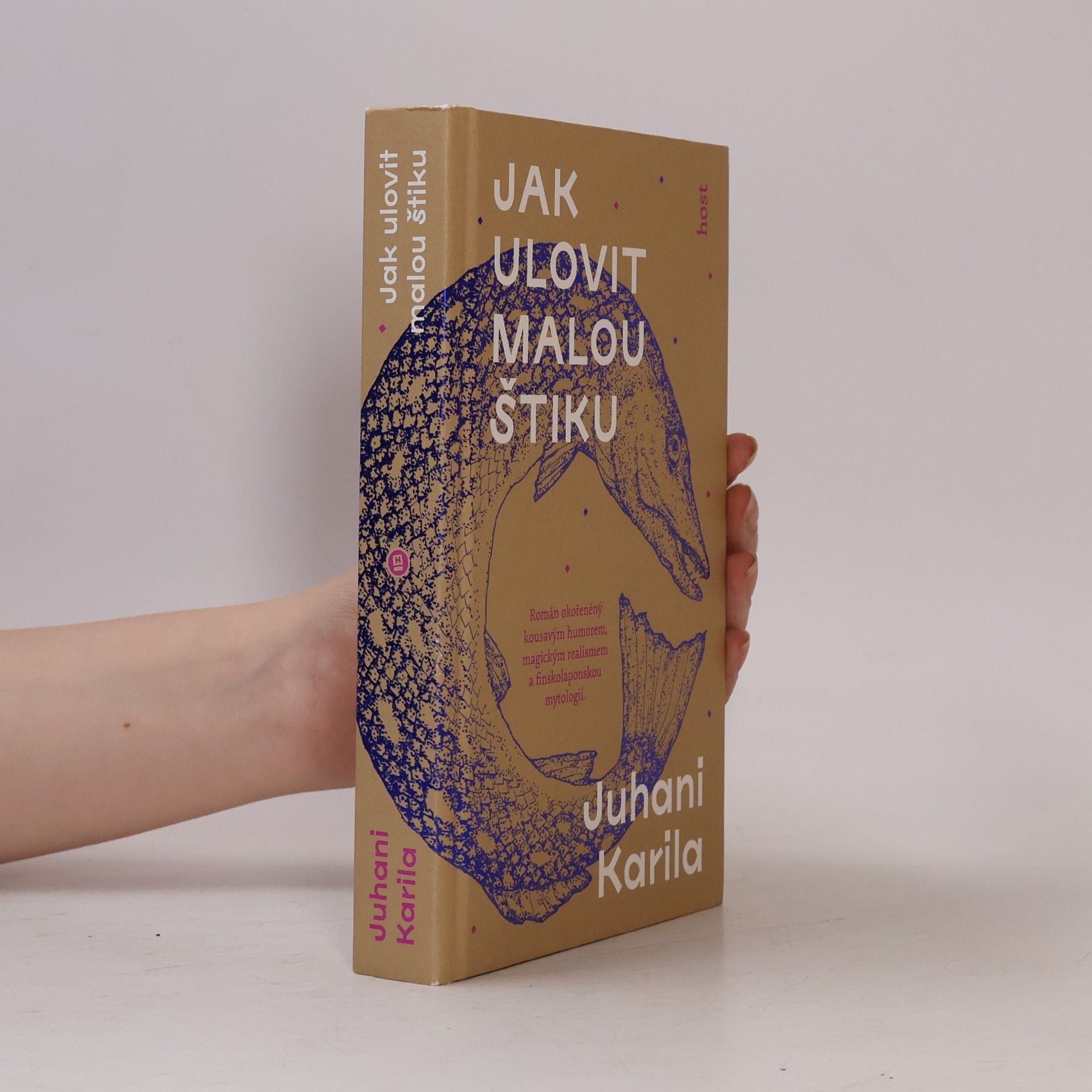 Juhani Karila Jak ulovit malou štiku