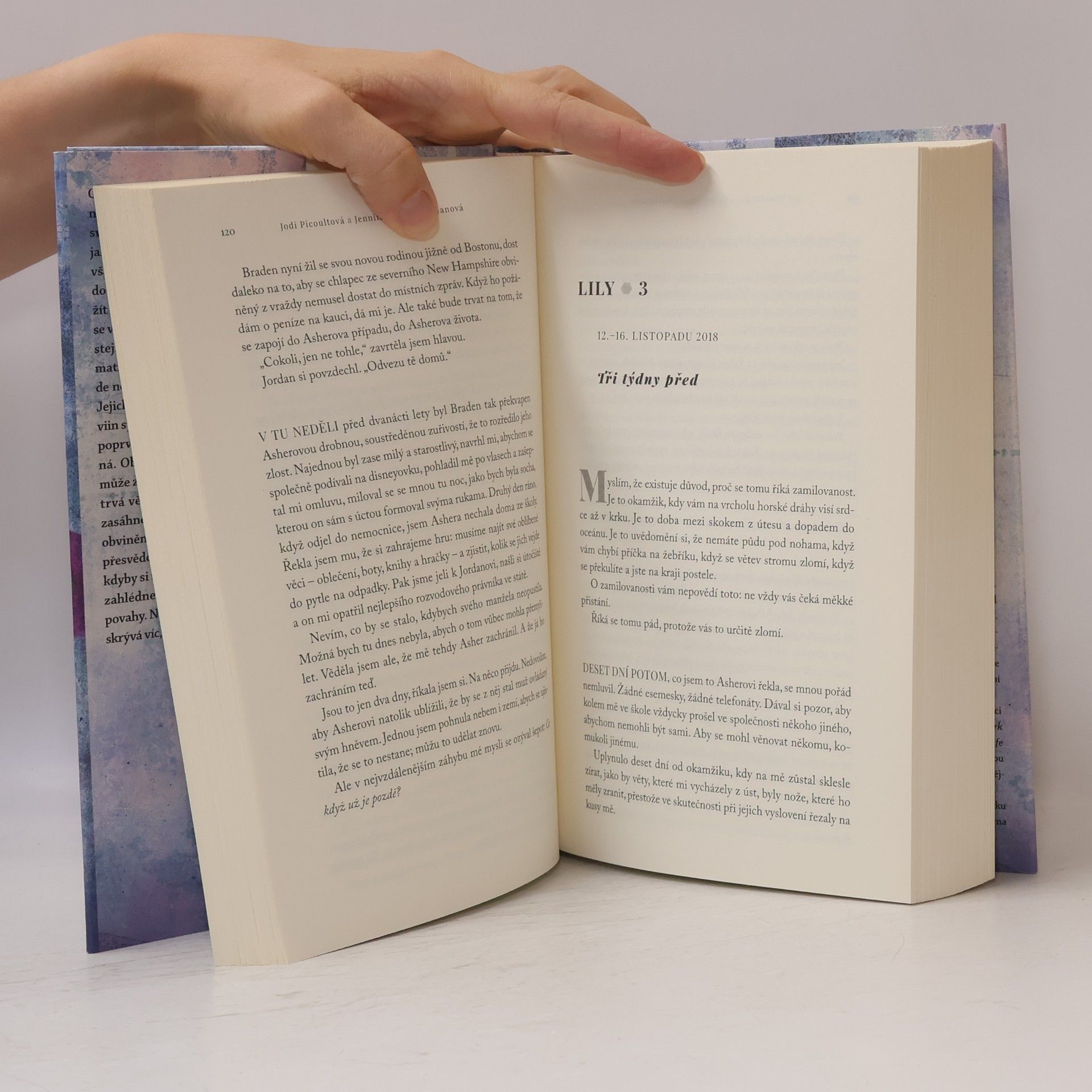 Jodi Picoult Omamný med