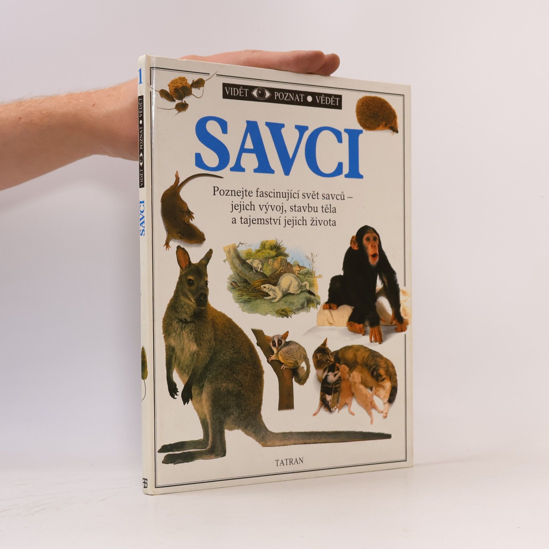 Steve Parker Savci