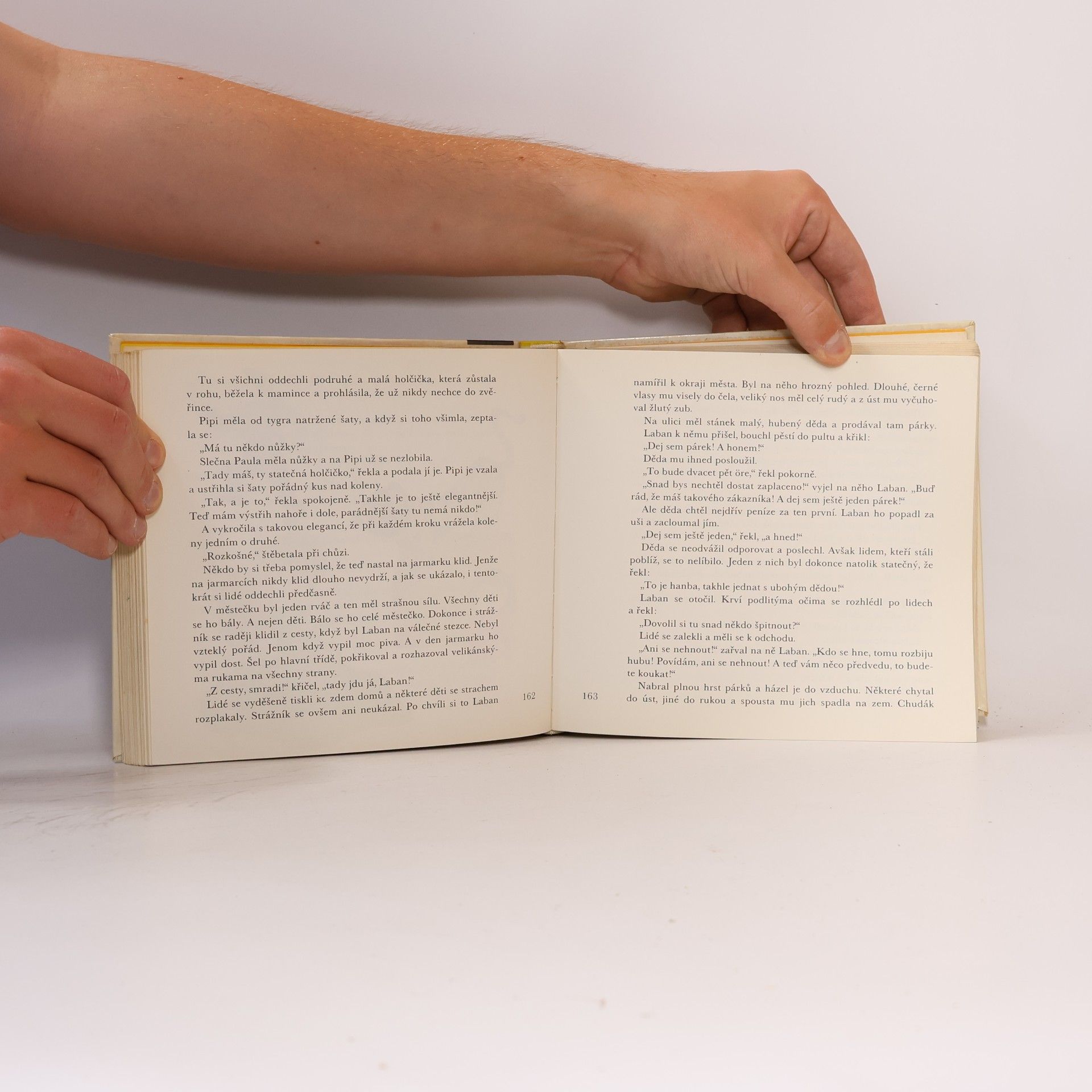 Astrid Lindgren Pipi Dlouhá punčocha