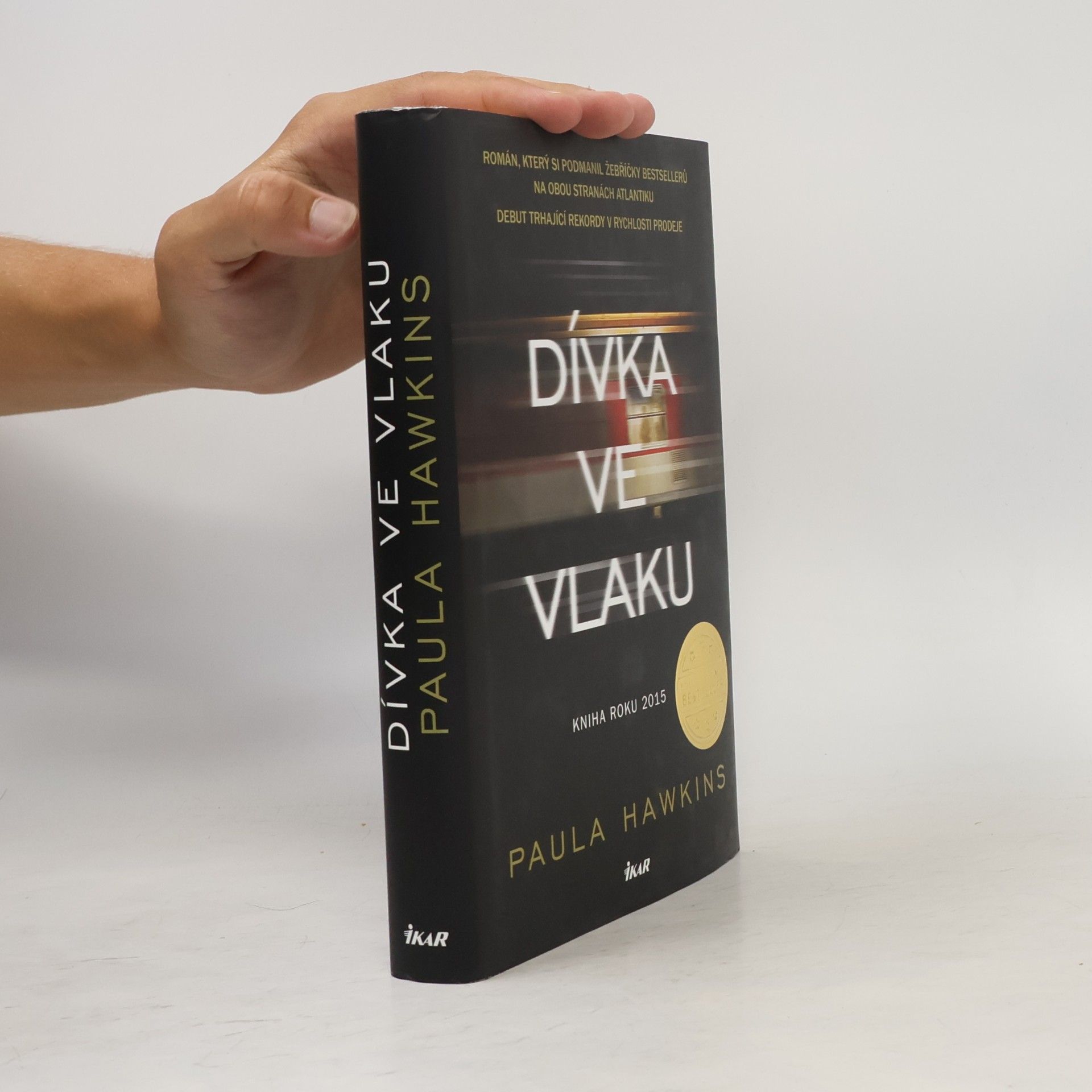 Dívka ve vlaku