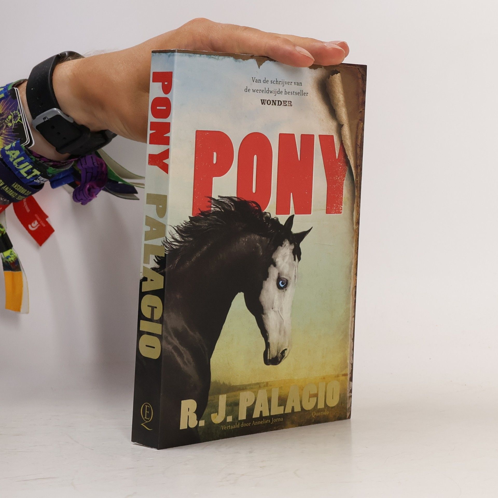 Raquel J. Palacio Pony