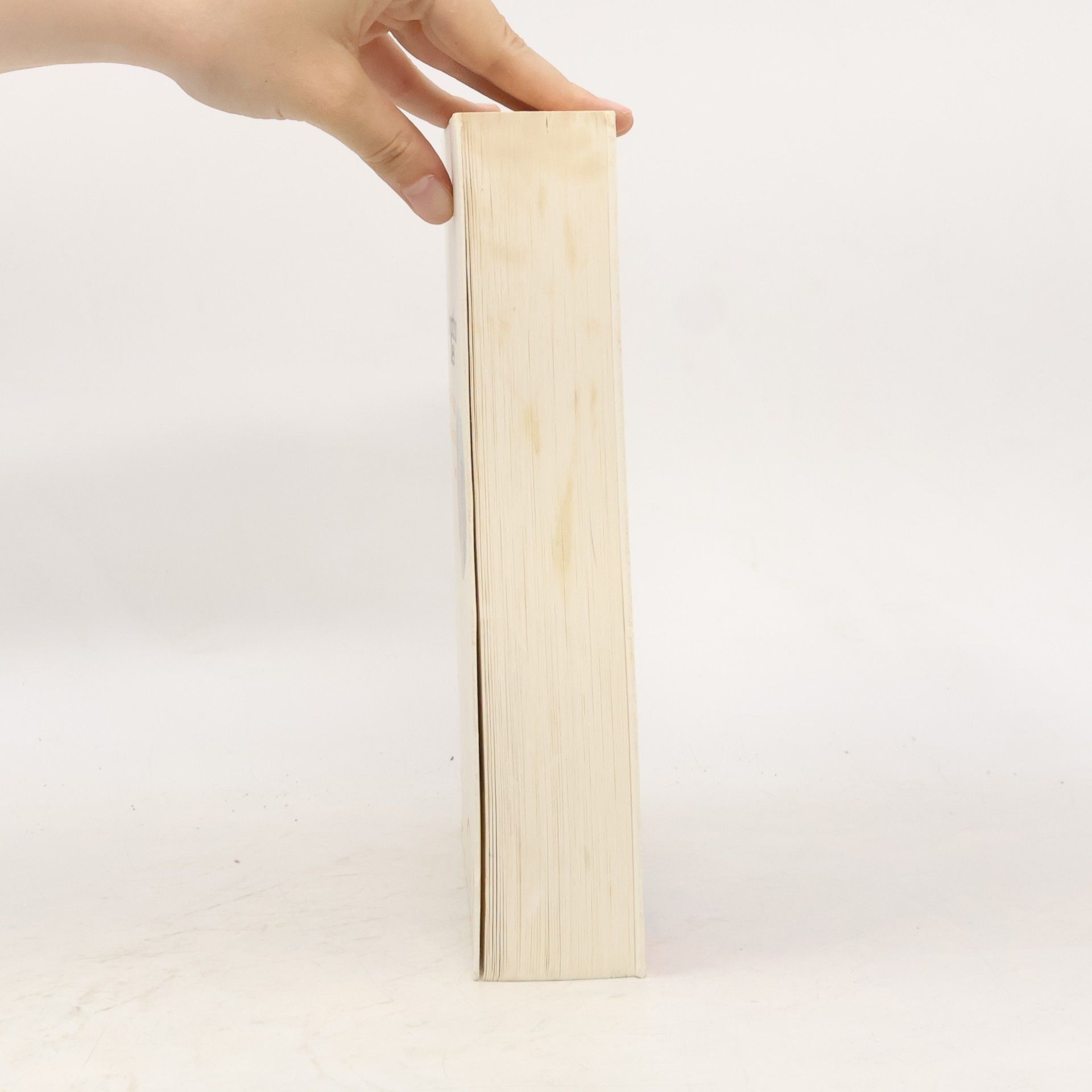 Anouk Neuhoff La Fabrique des illusions