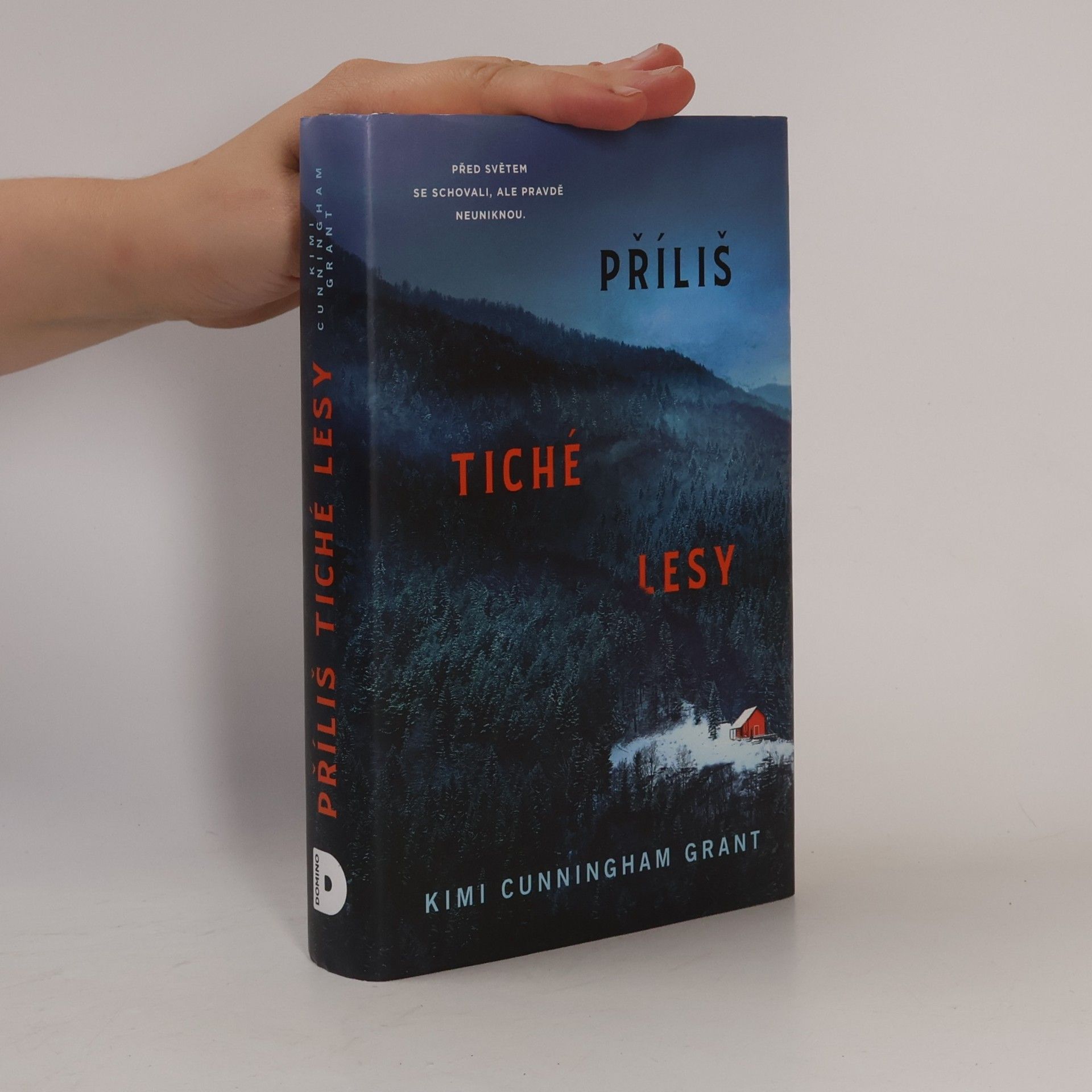 Kimi Cunningham Grant Příliš tiché lesy