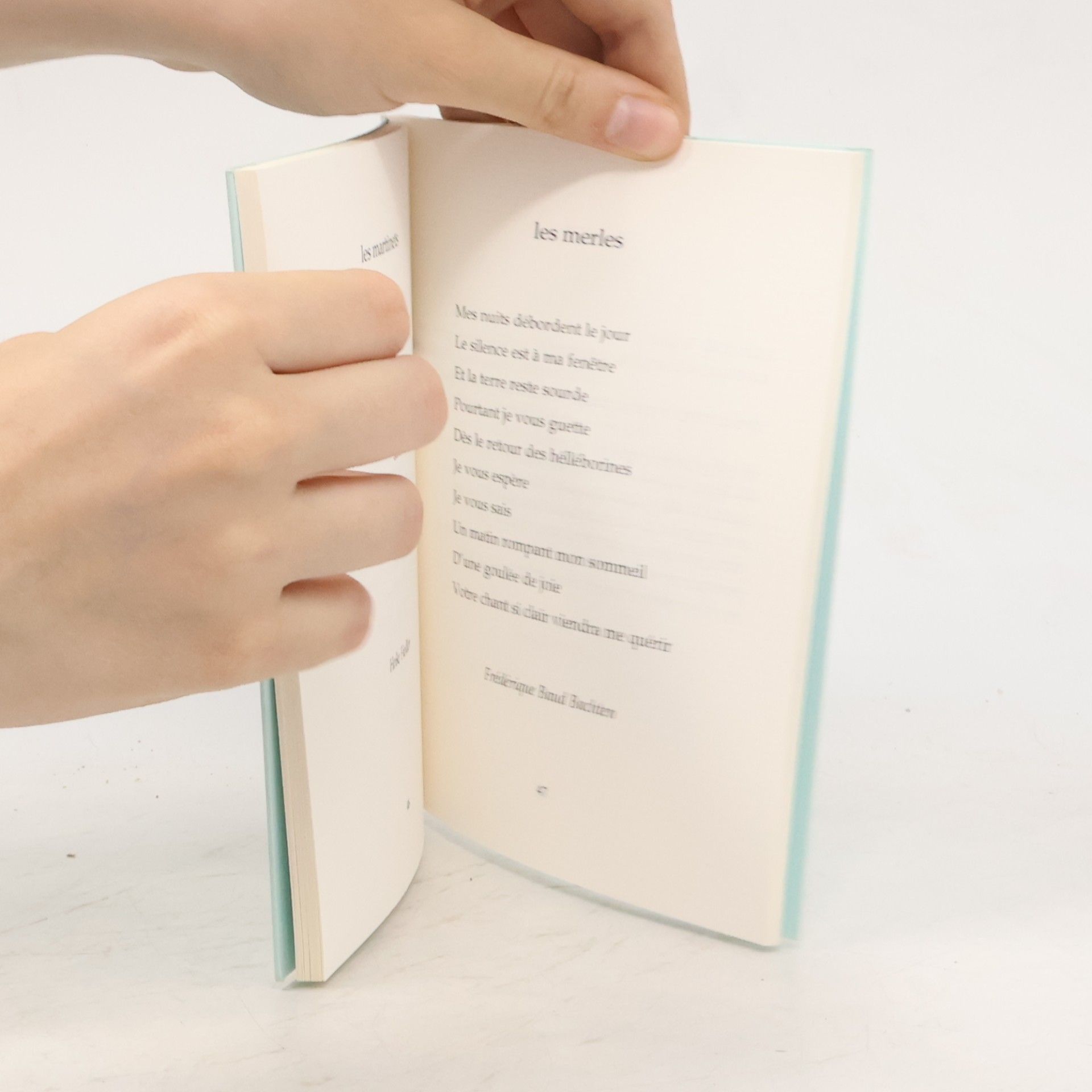 Autores varios Pantone 40: un bestiaire