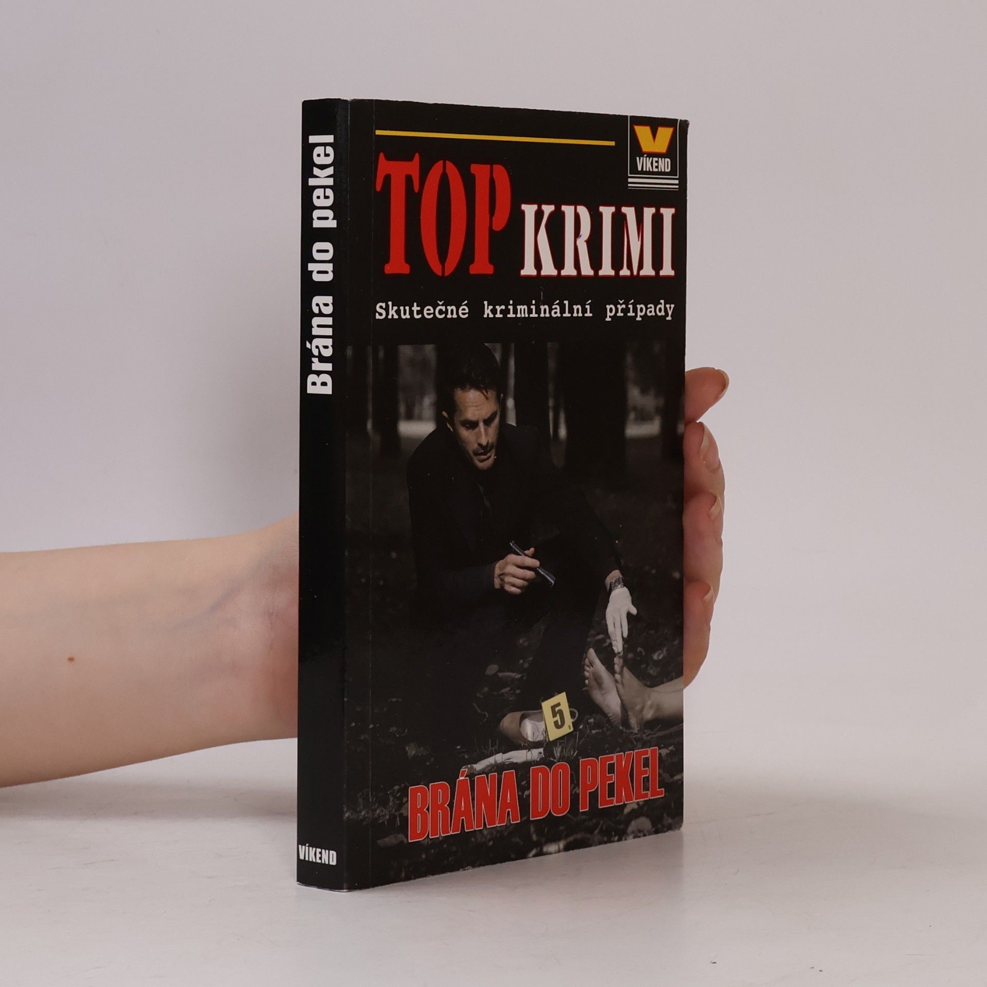 Kristýna Pivodová Brána do pekel