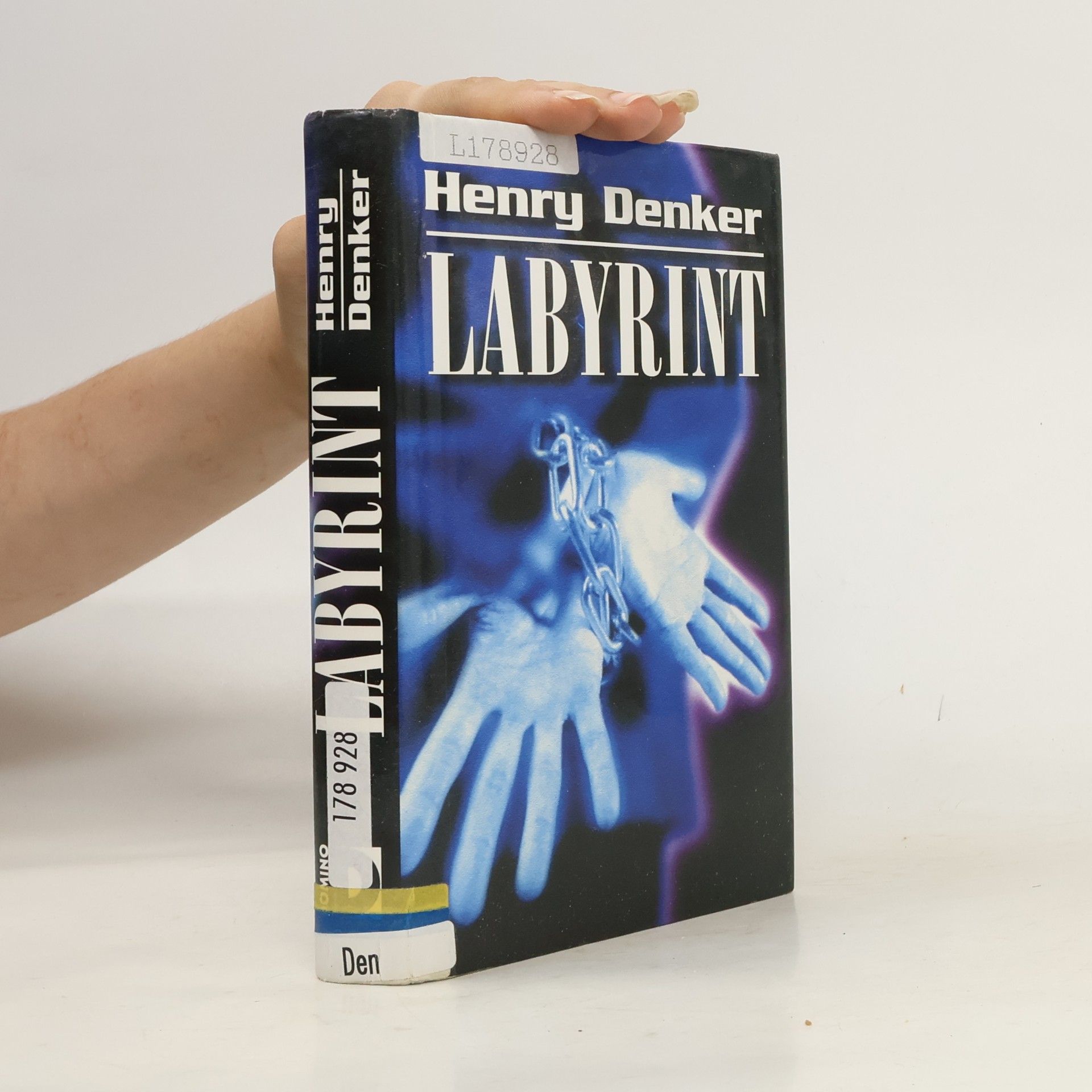 Henry Denker Labyrint