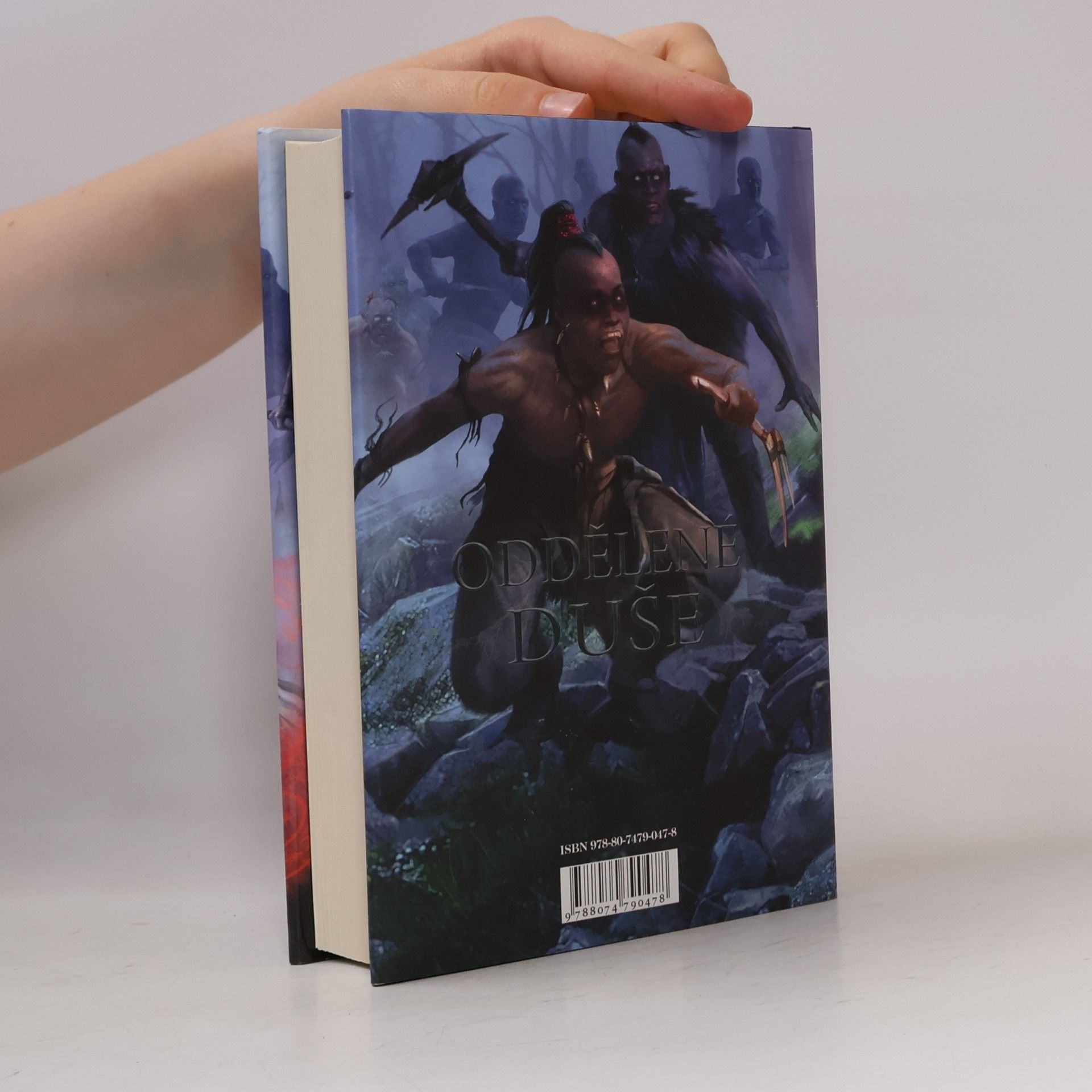 Terry Goodkind Oddělené duše