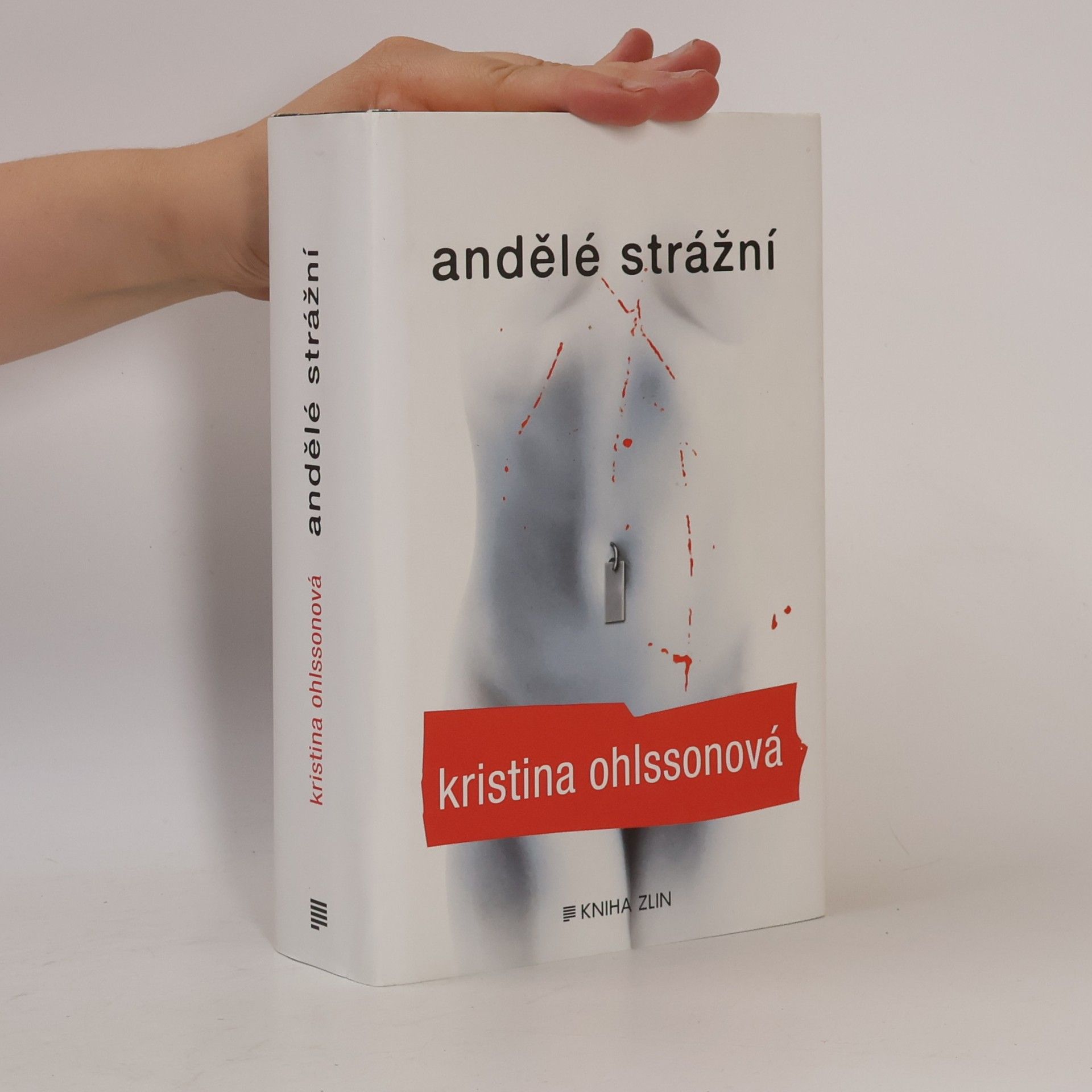 Kristina Ohlsson Andělé strážní