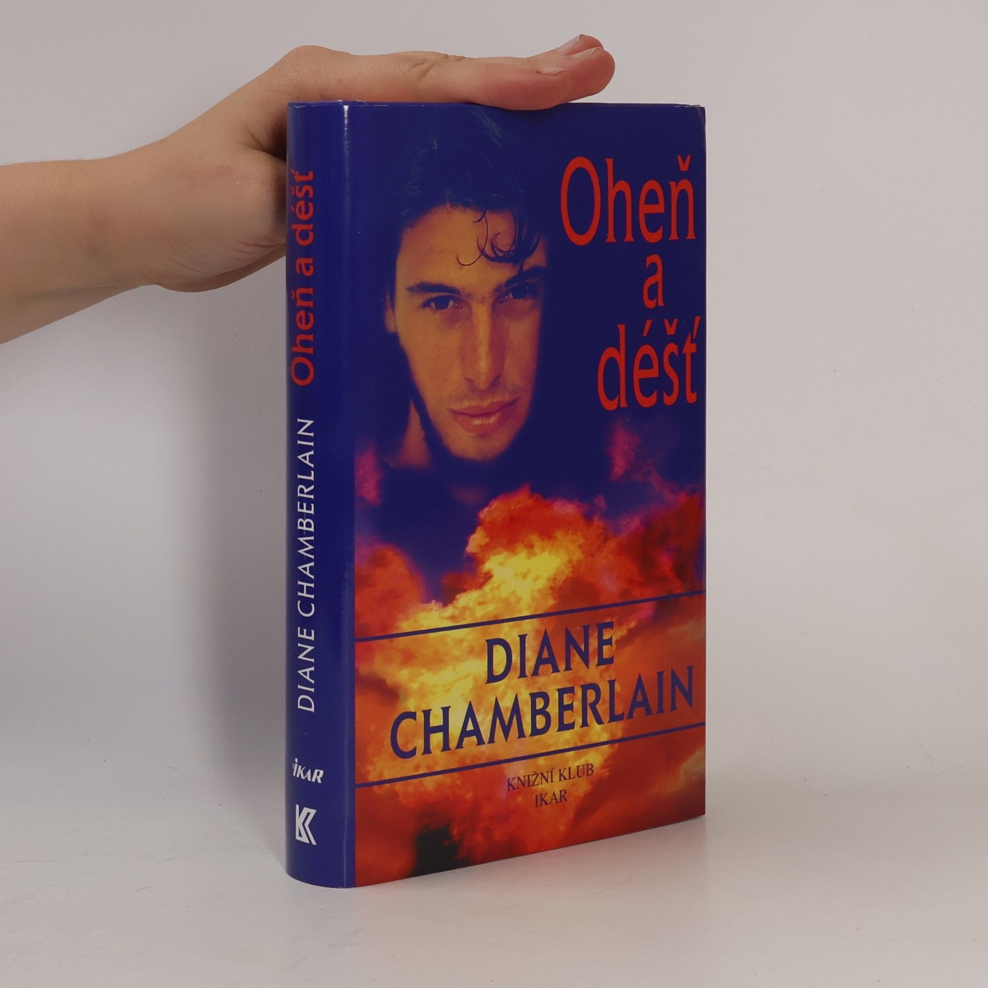 Diane Chamberlain Oheň a déšť