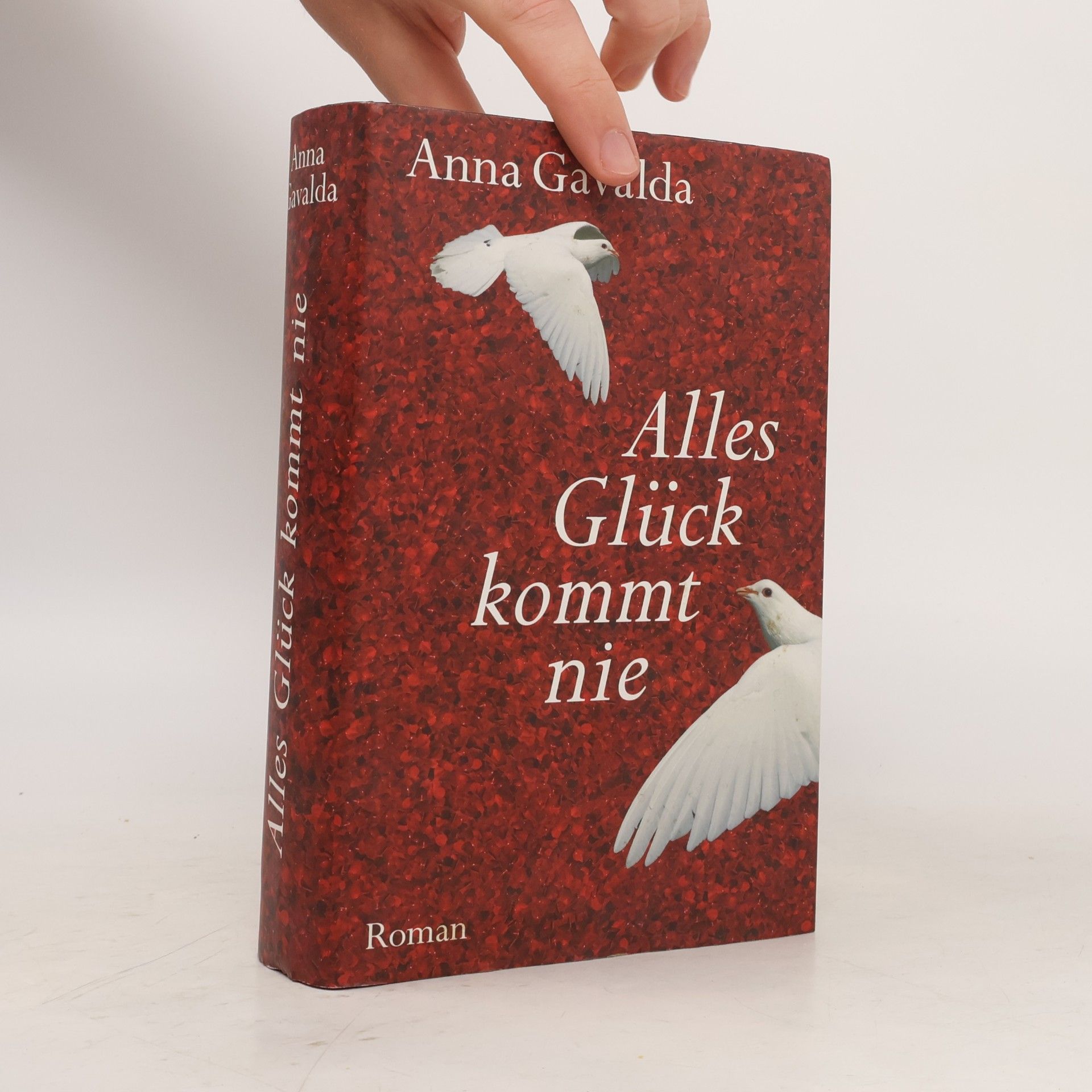 Anna Gavalda Alles Glück kommt nie
