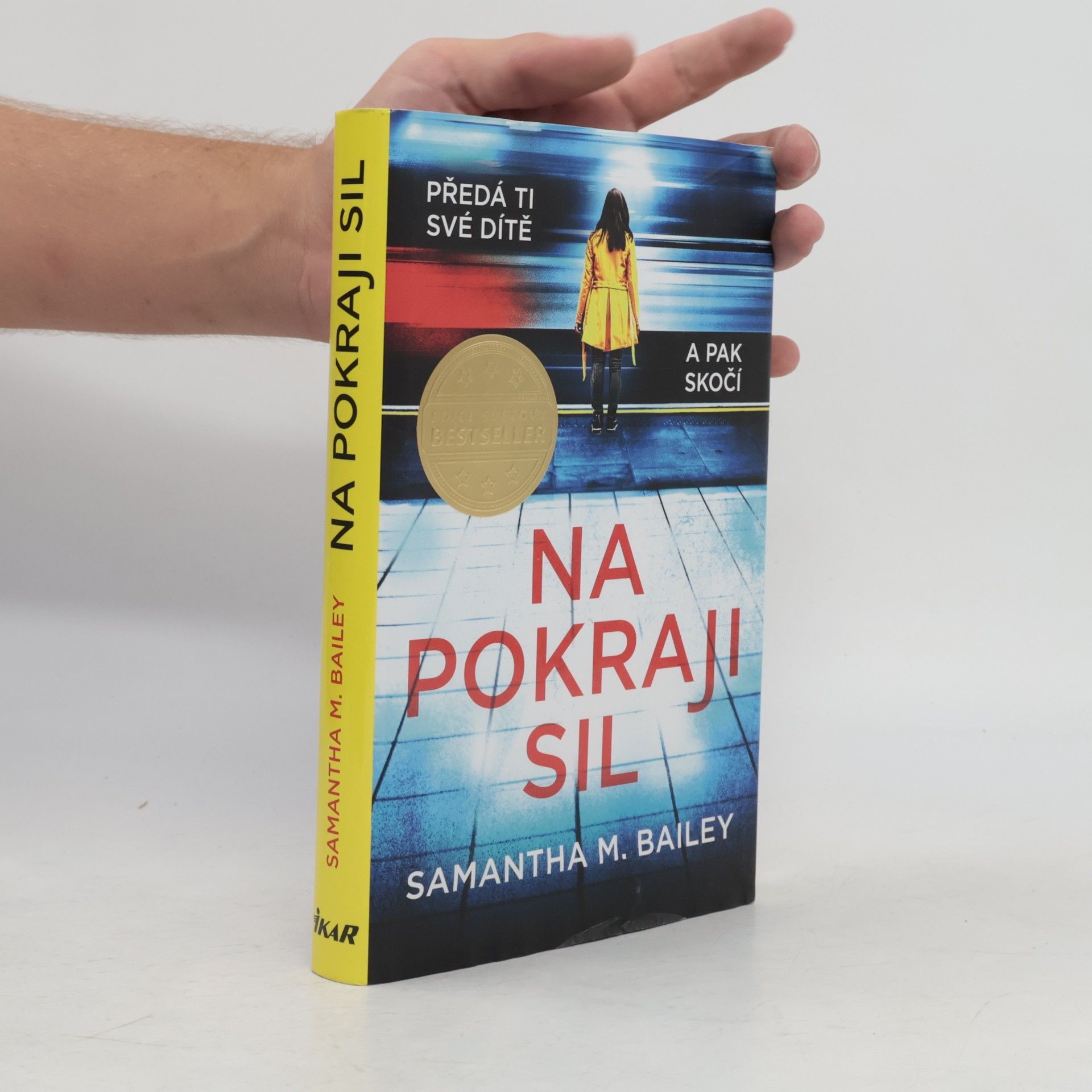 Samantha M. Bailey Na pokraji sil