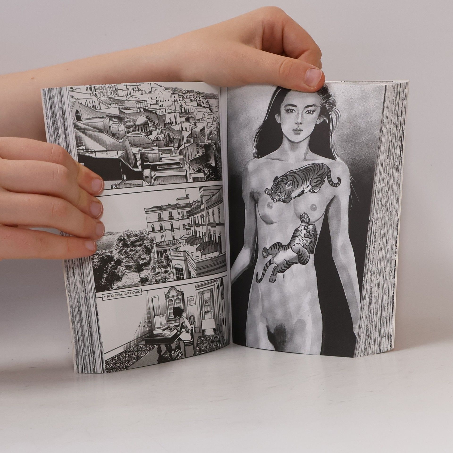 Kazuo Koike Plačící drak 2