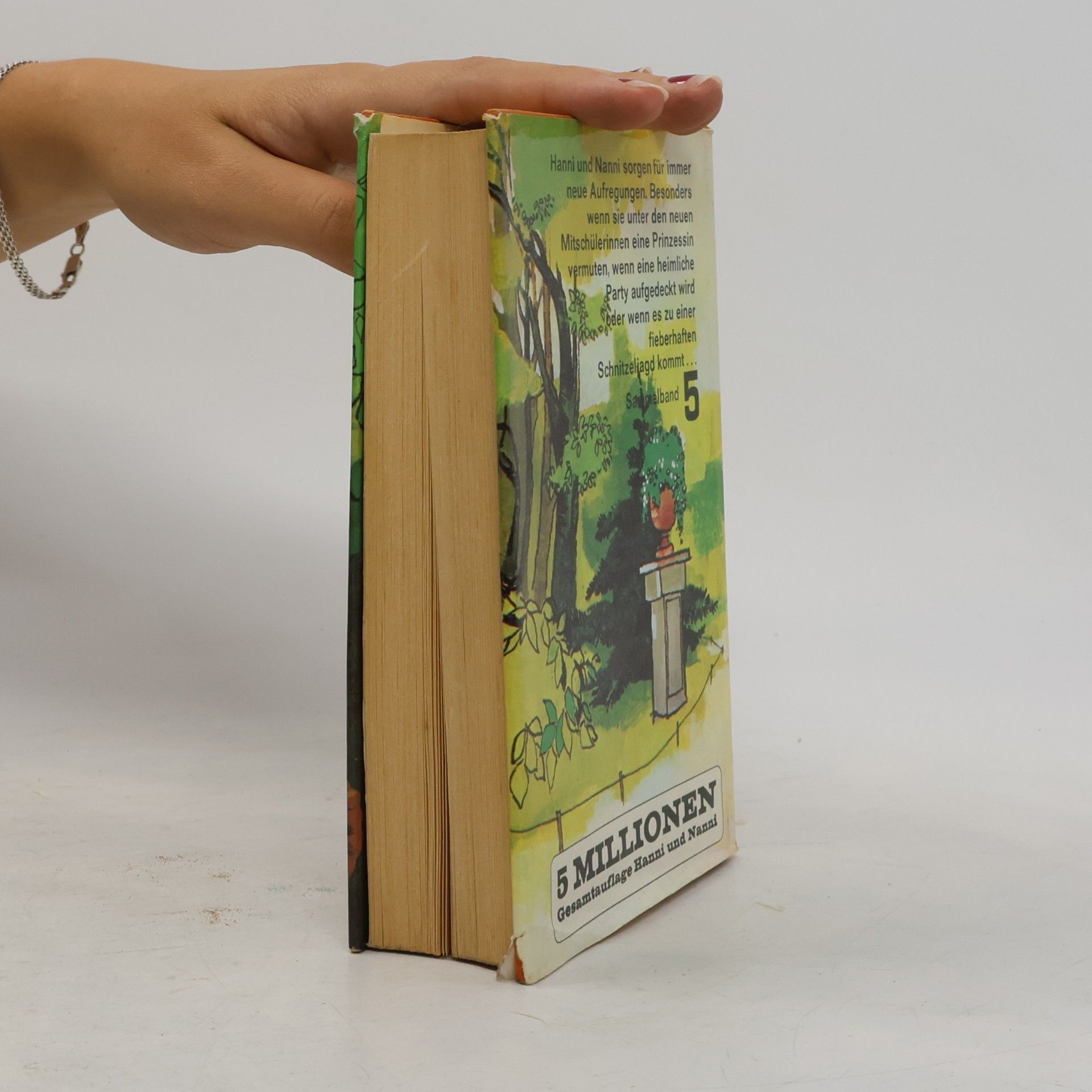 Enid Blyton Hanni und Nanni. Sammelband 5