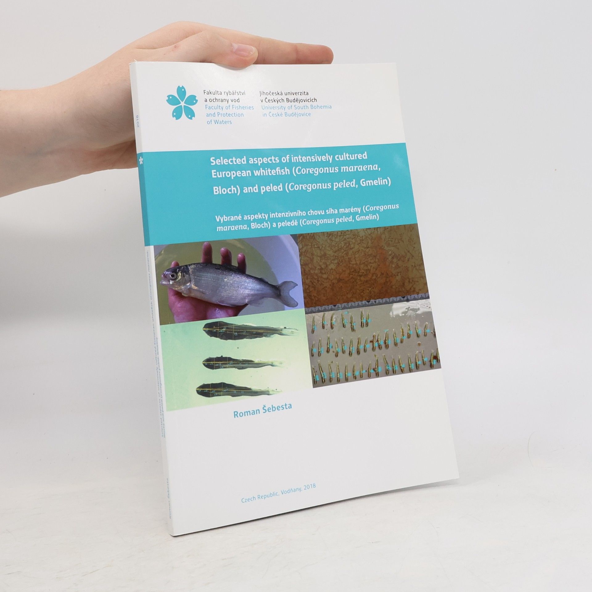 Selected Aspects of Intensively Cultured European Whitefish (Coregonus Maraena, Bloch) and Peled (Coregonus Peled, Gmelin)