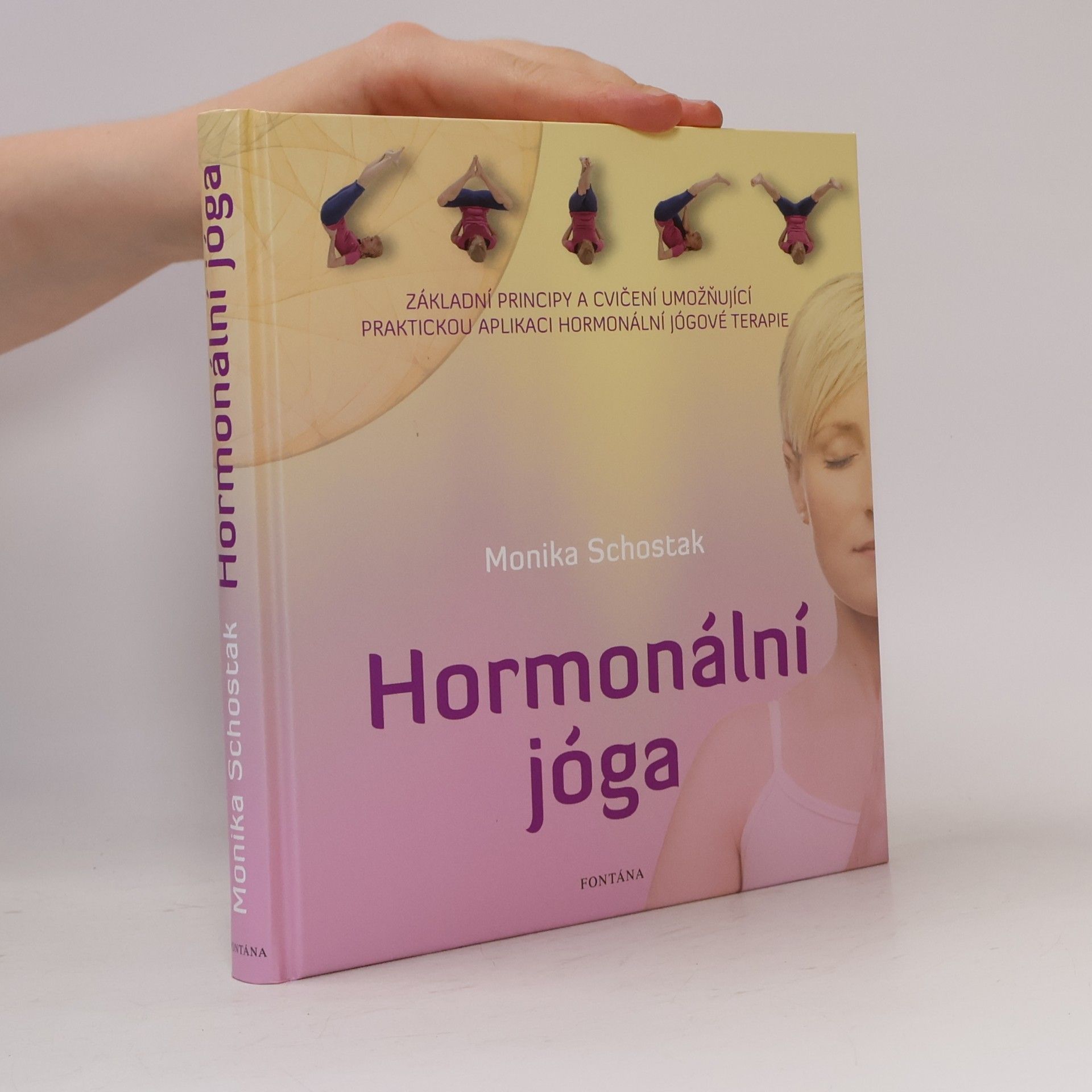 Alette Borgböhmer Hormonální jóga