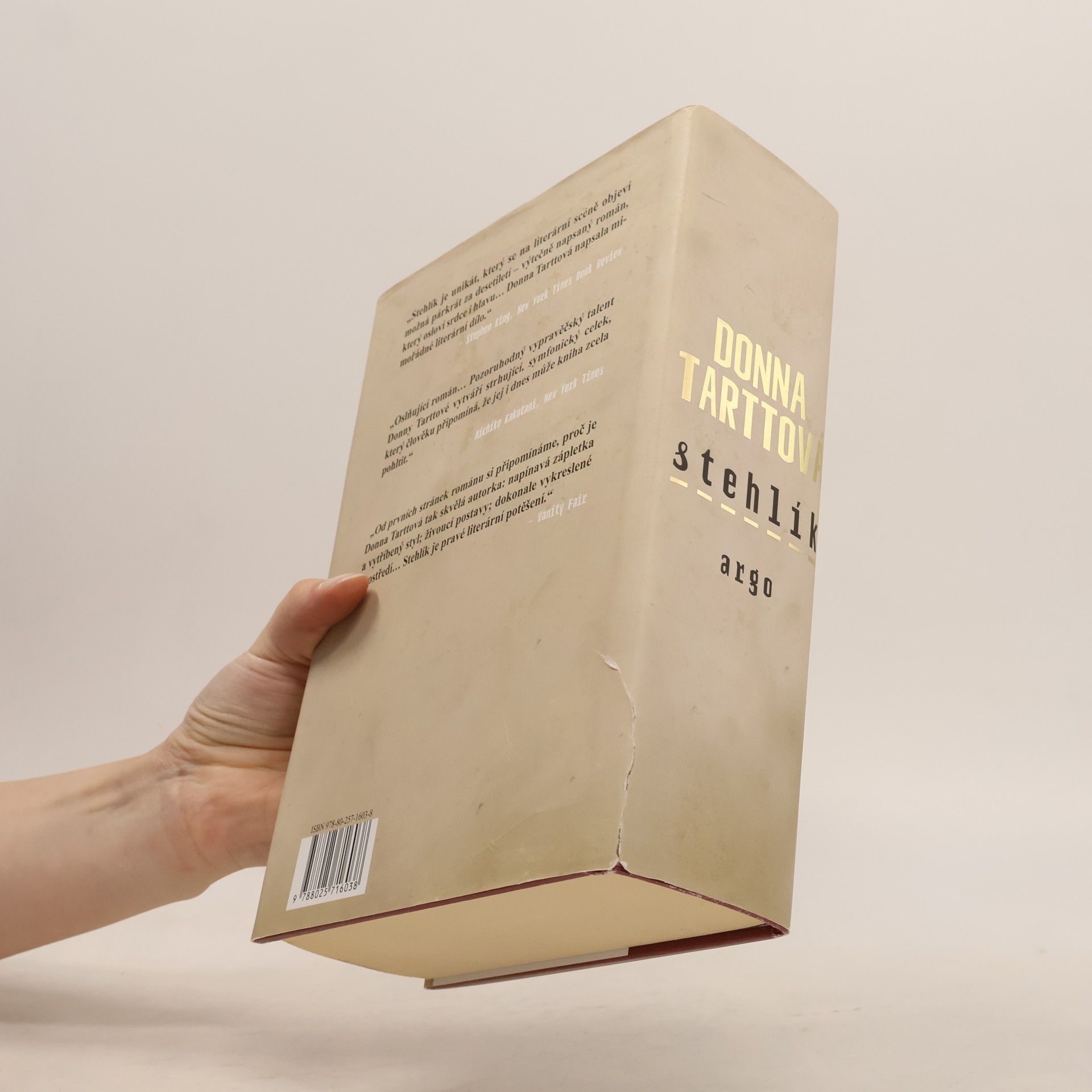 Donna Tartt Stehlík