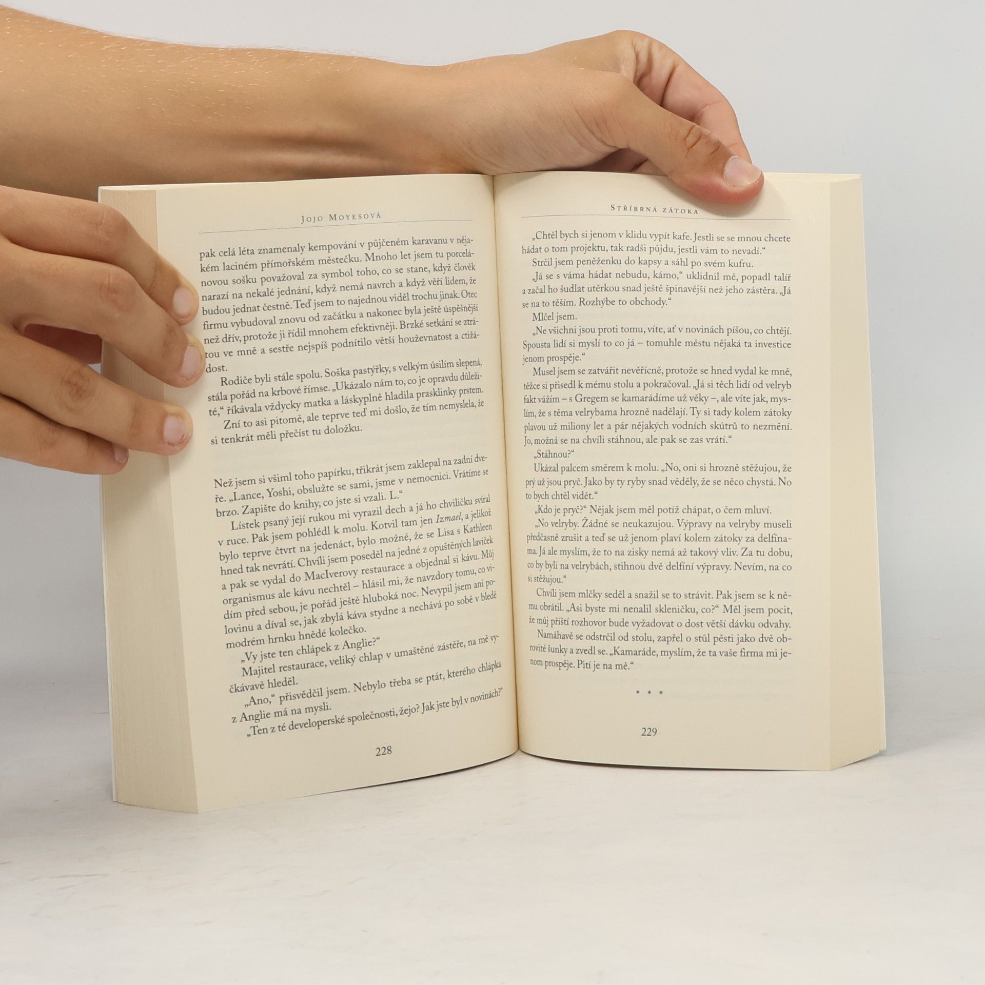 Jojo Moyes Stříbrná zátoka