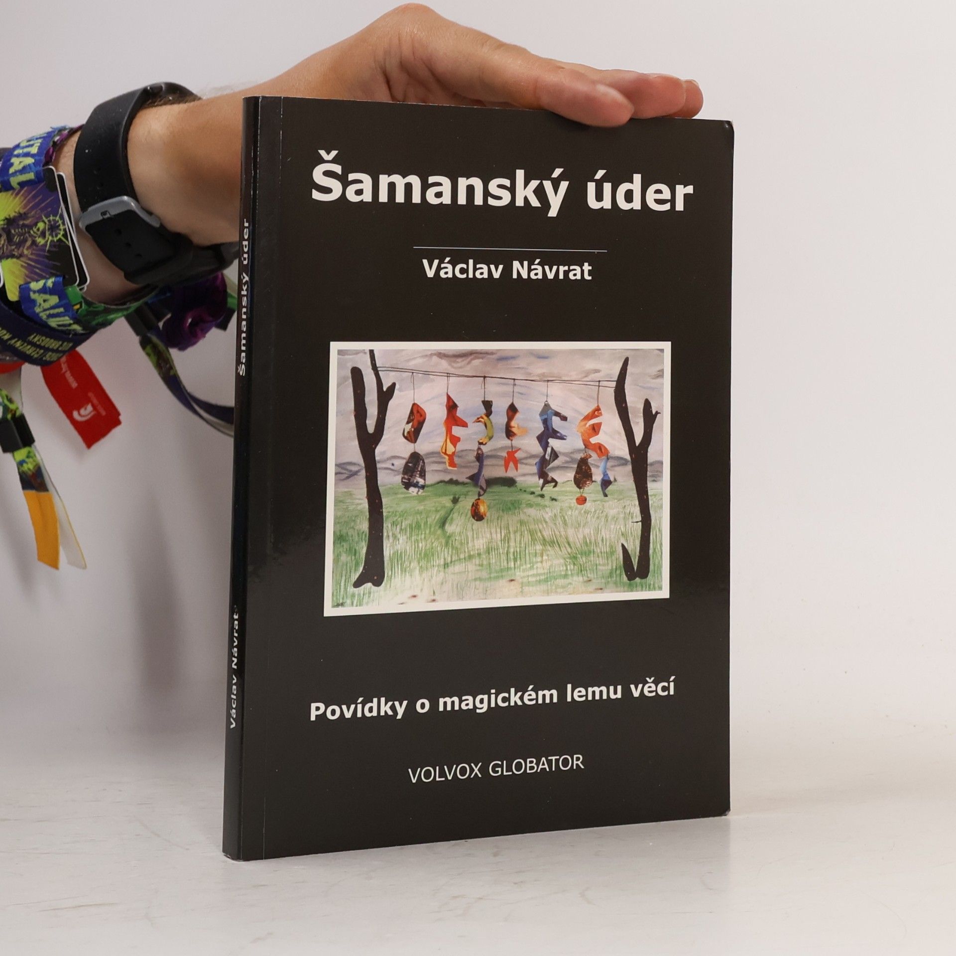 Václav Návrat Šamanský úder