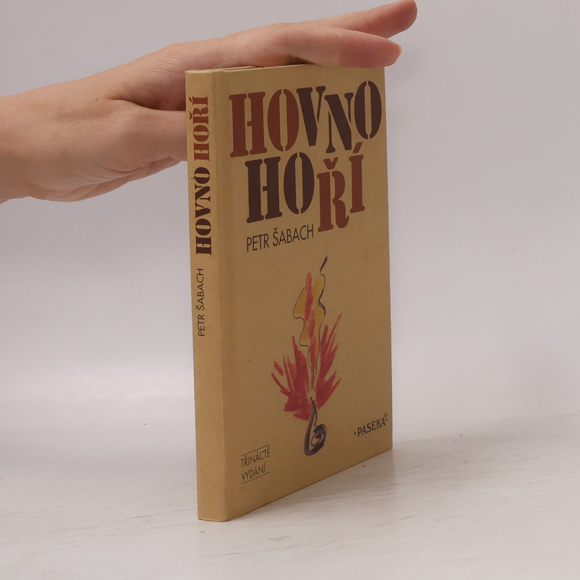 Petr Šabach Hovno hoří
