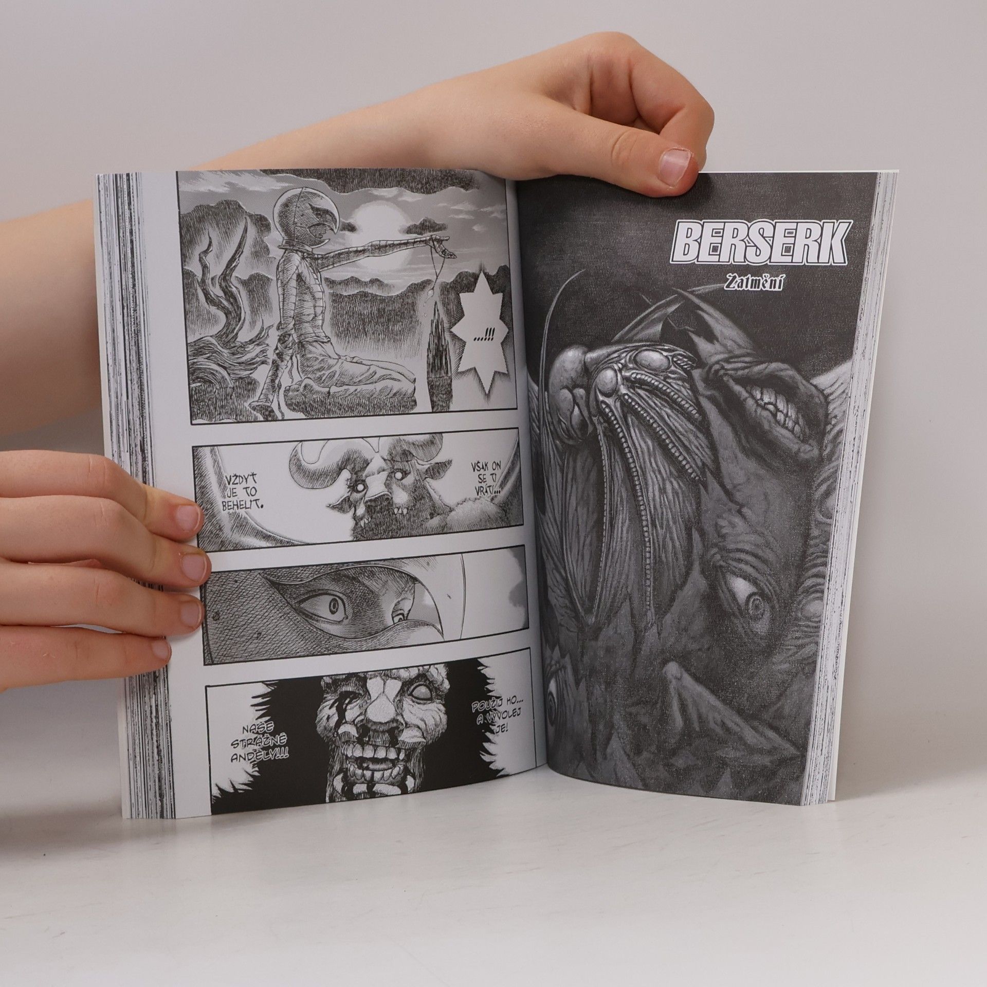 Kentaro Miura Berserk. 12