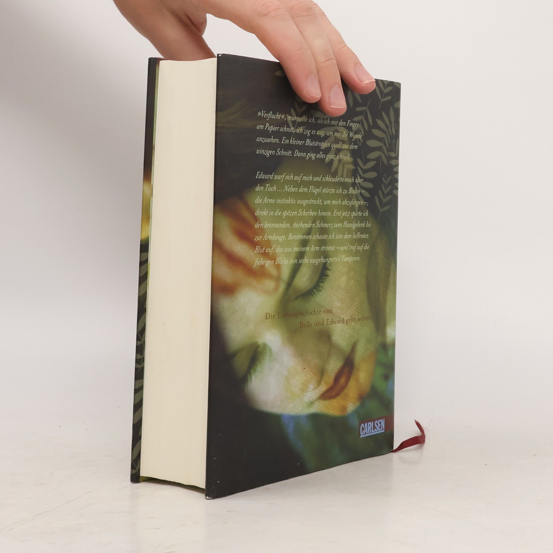 Stephenie Meyer Biss zum Morgengrauen