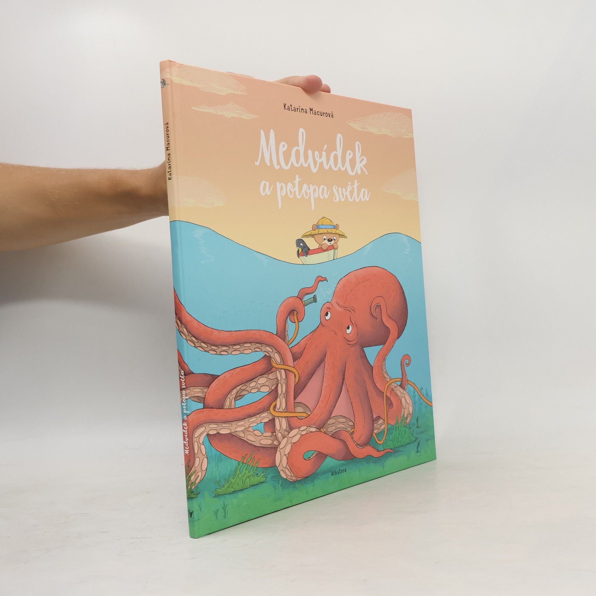 Macurová Katarína Medvídek a potopa světa