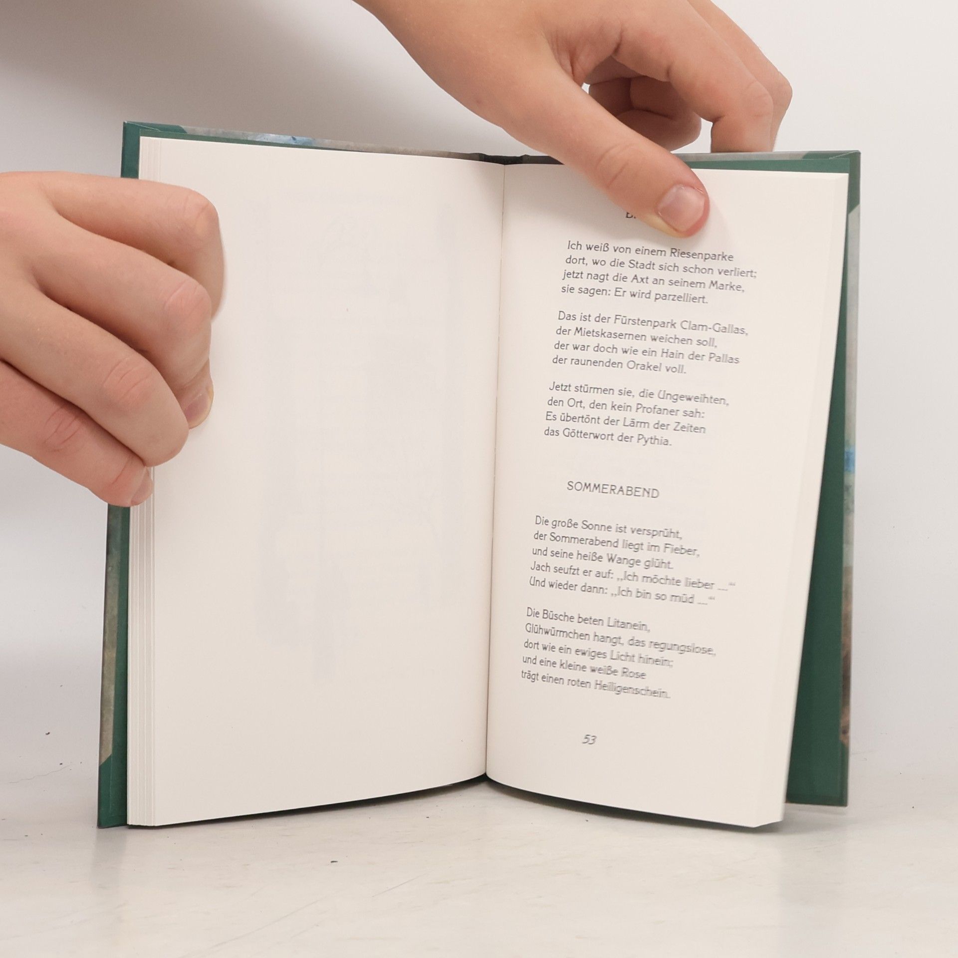 Rainer Maria Rilke Larenopfer