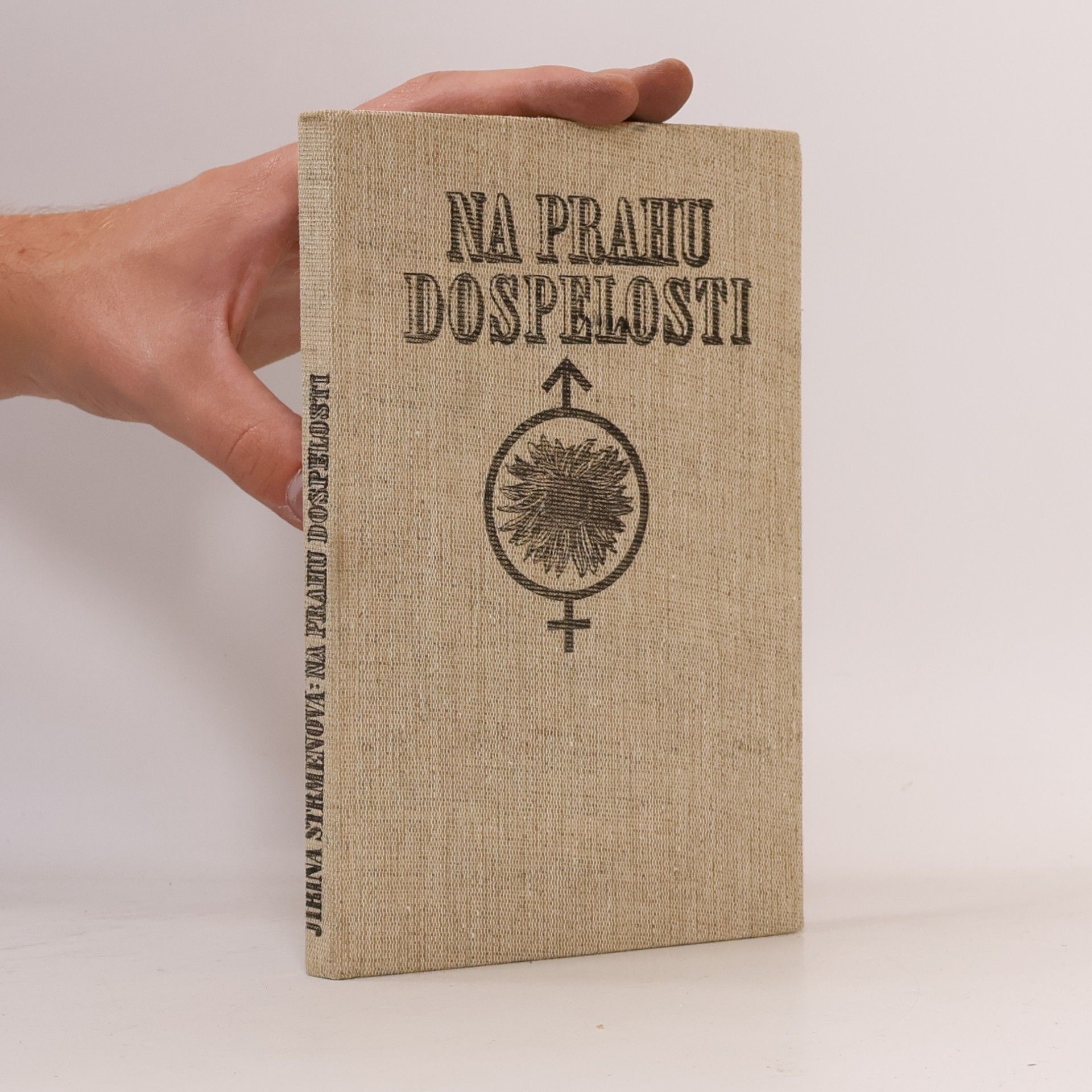Strmeňová Jiřina Na prahu dospelosti