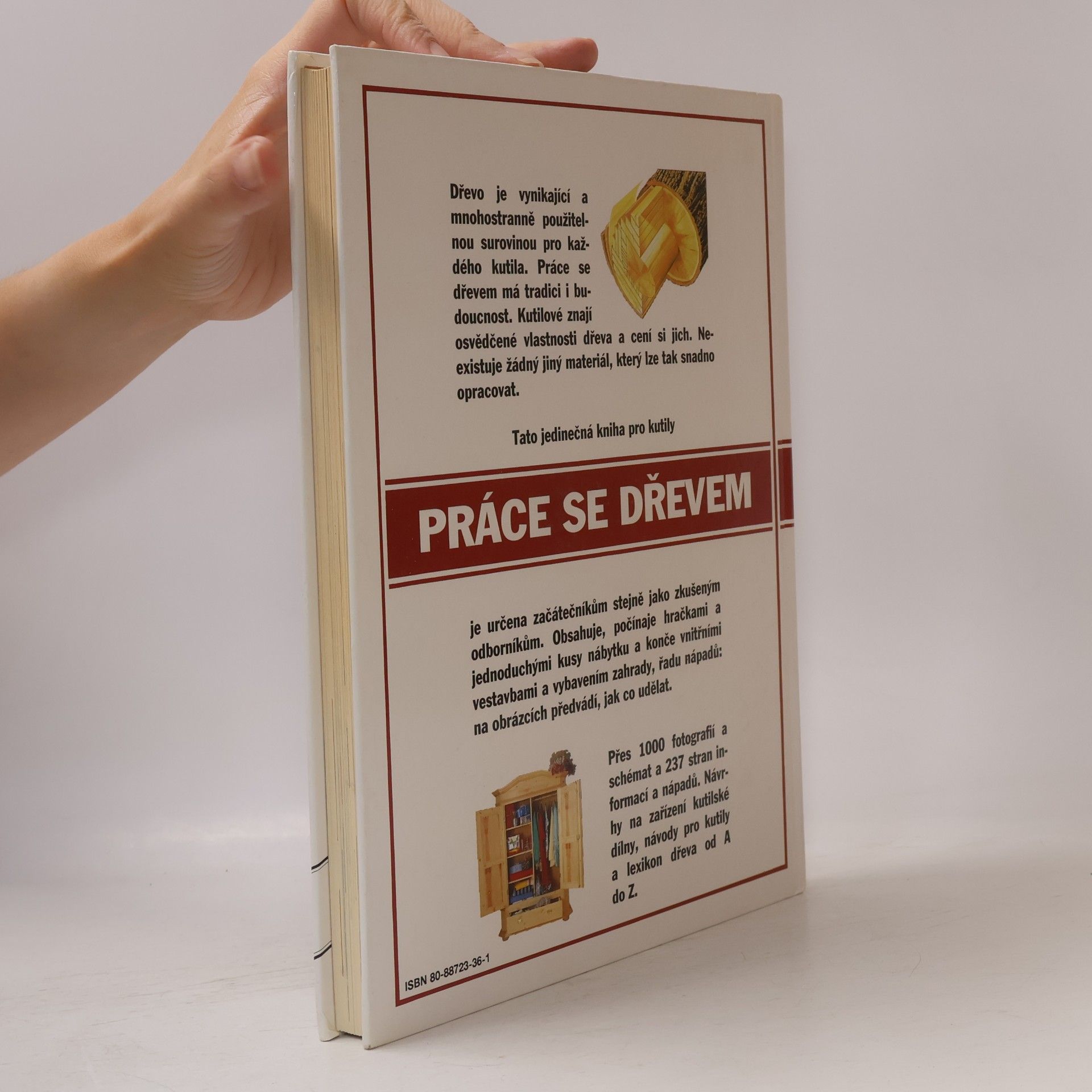 Autorenkollektiv Práce se dřevem
