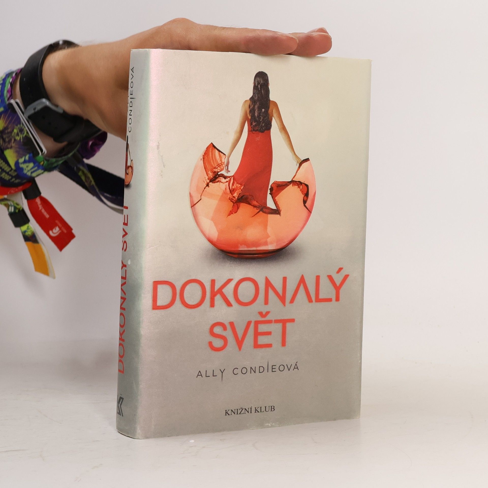 Allyson Braithwaite Condie Dokonalý svět